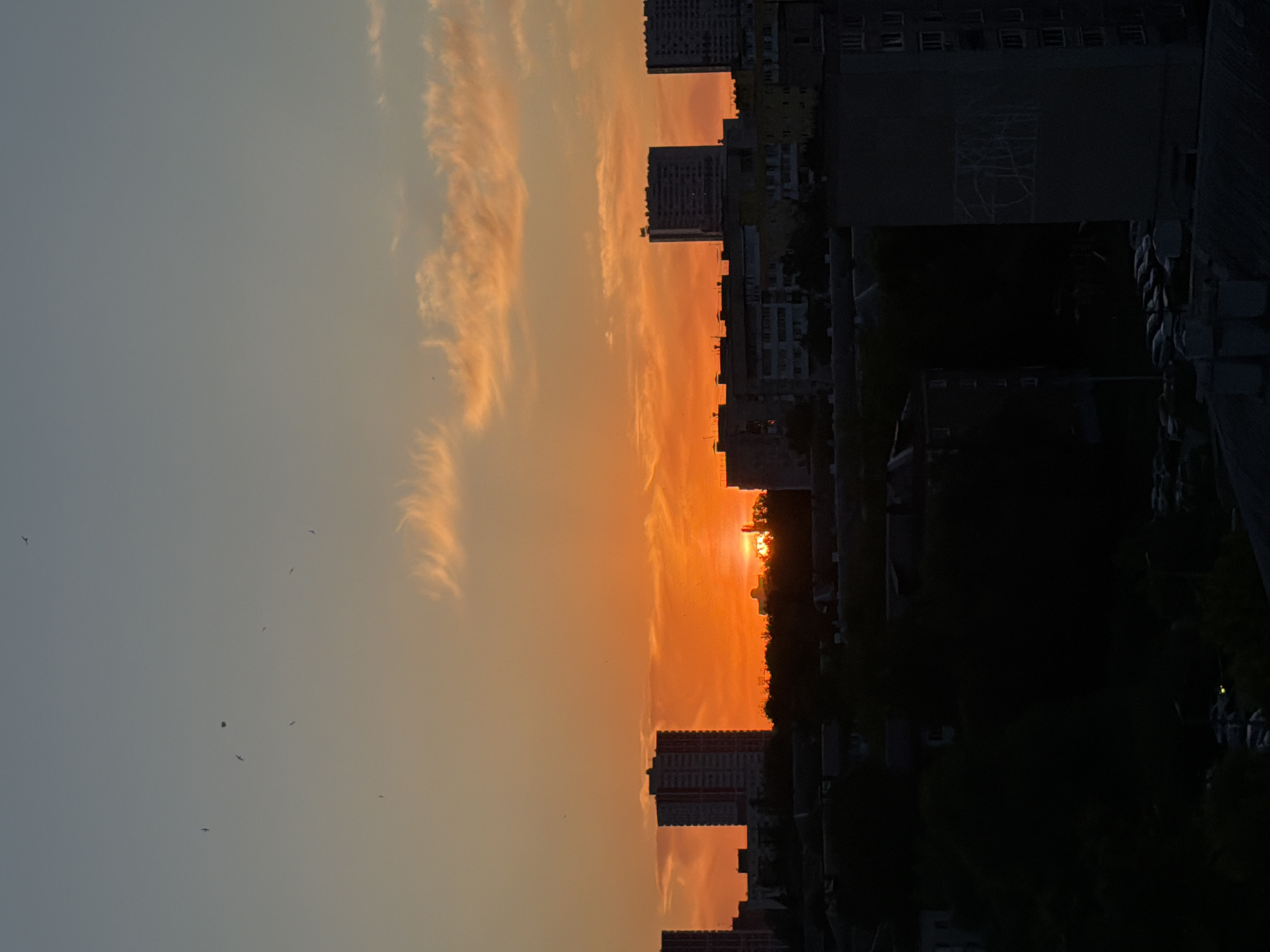 Urban sunset photographed with orange sky behind city buildings