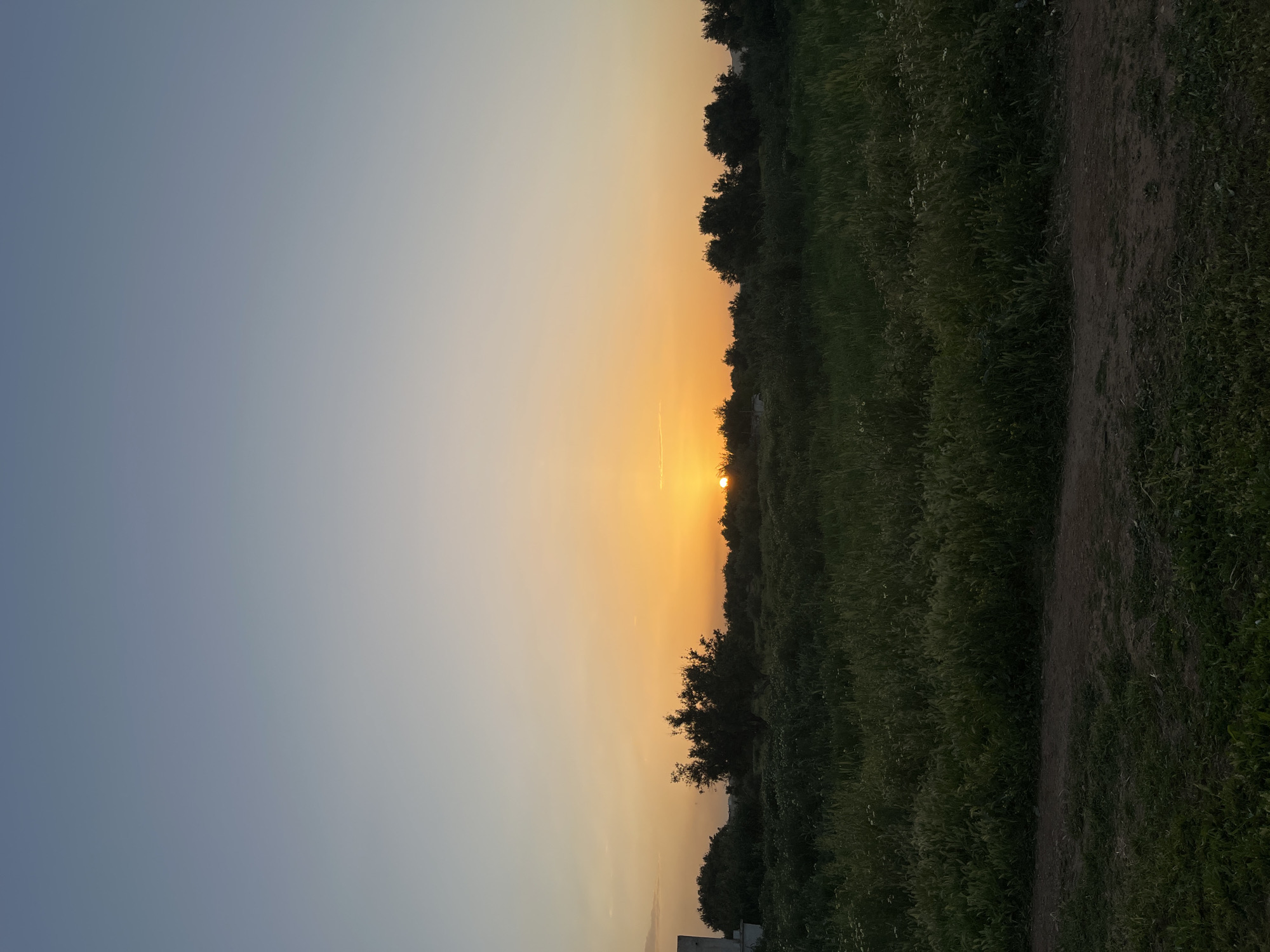 Sunset captured over agricultural fields outside Fez, Morocco