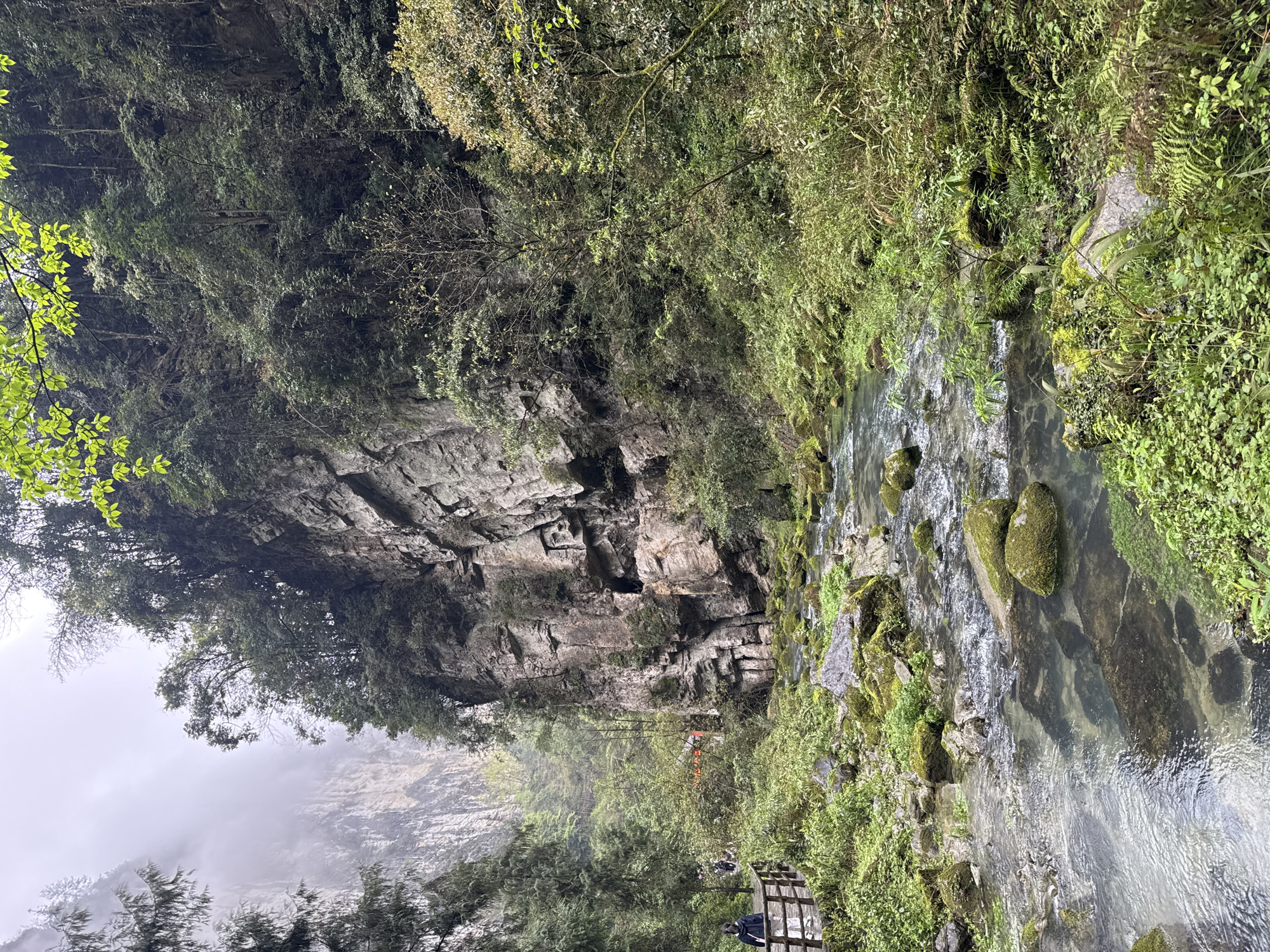 Stream flows through green landscape in Wulong District