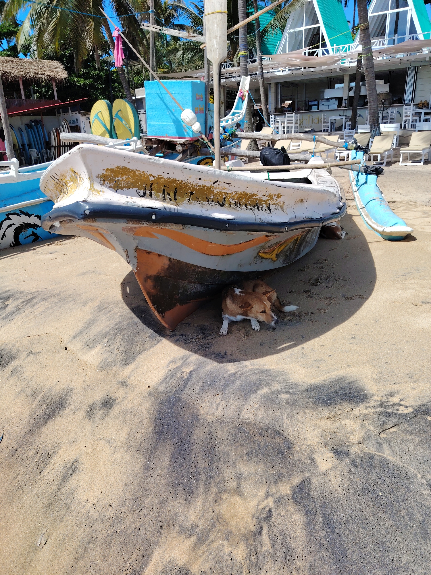 Morning beach life documented at Arugam Bay Sri Lanka