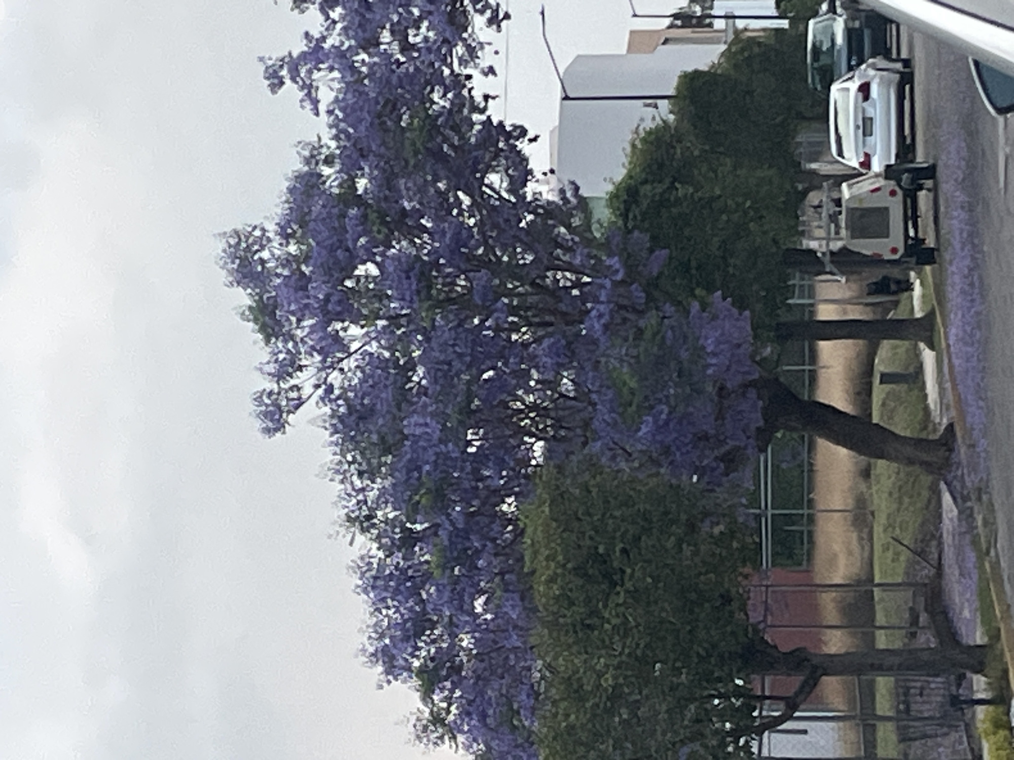 Early morning scenes documented across Puebla, Mexico