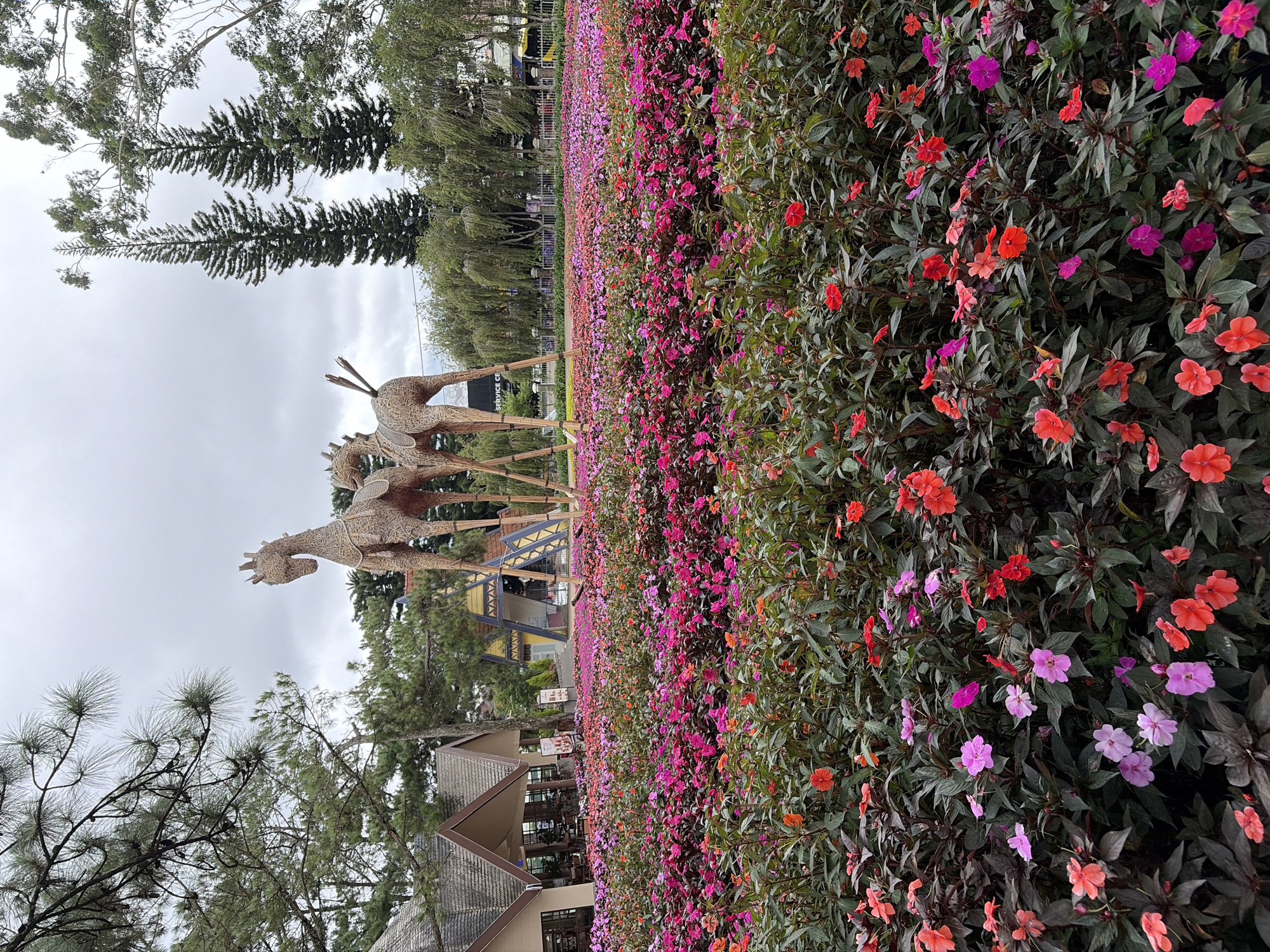 Woven horse sculptures and flower gardens at Đà Lạt's Lâm Viên park