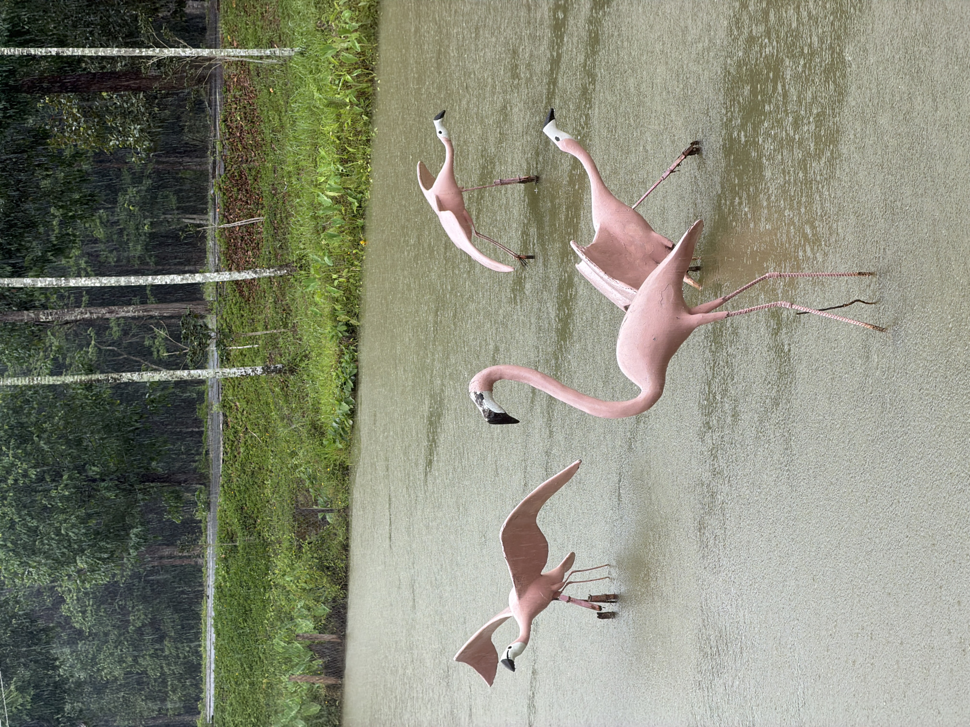 Rain falls on decorative garden with flamingo sculptures in Vietnam