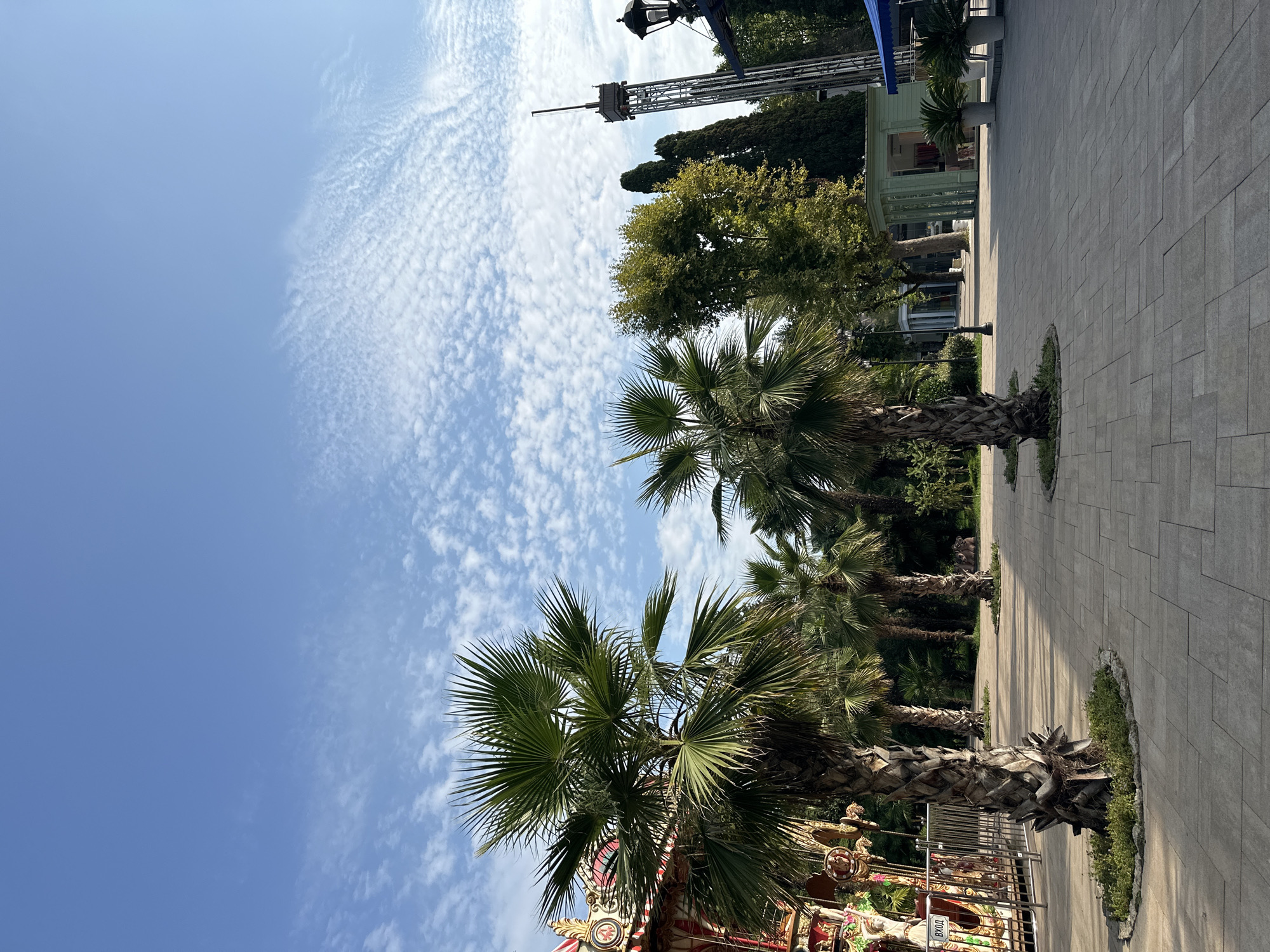 Classic carousel and palm trees at a Sochi amusement park