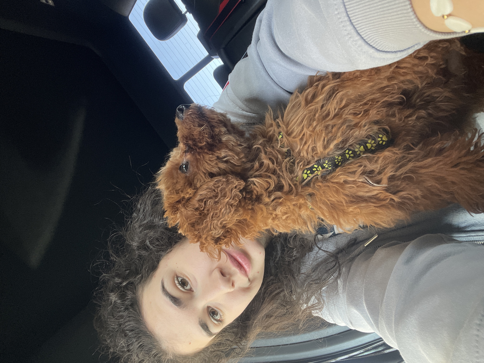 Woman and poodle share moment at Bulgarian cafe