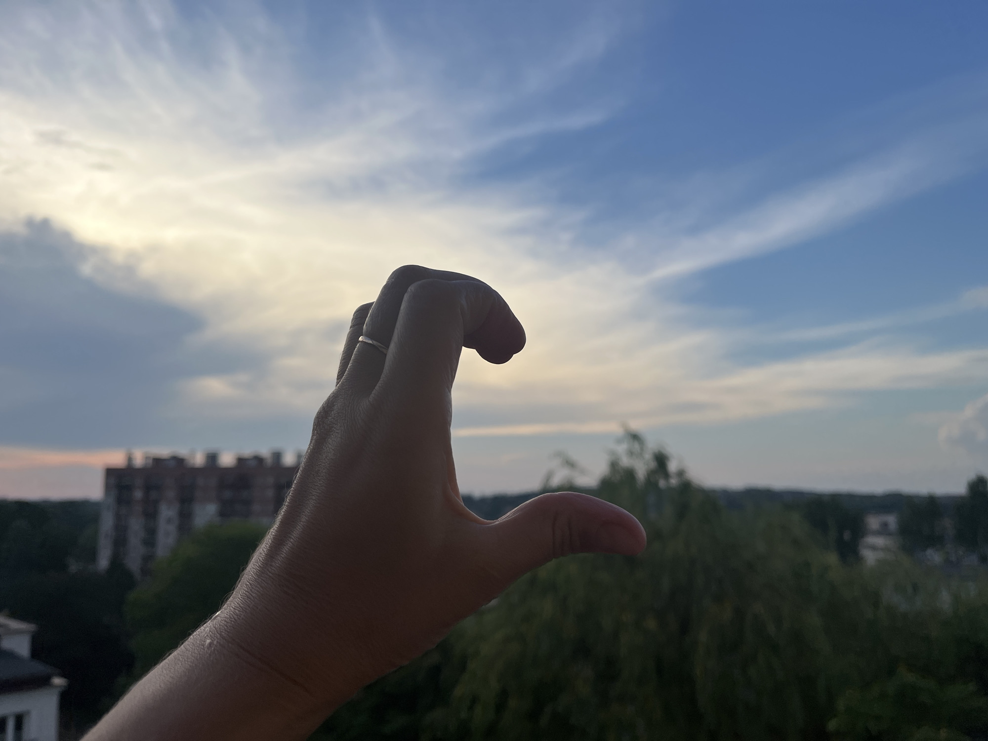 Dusk rooftop views, a guinea pig, and coffee with a skyline