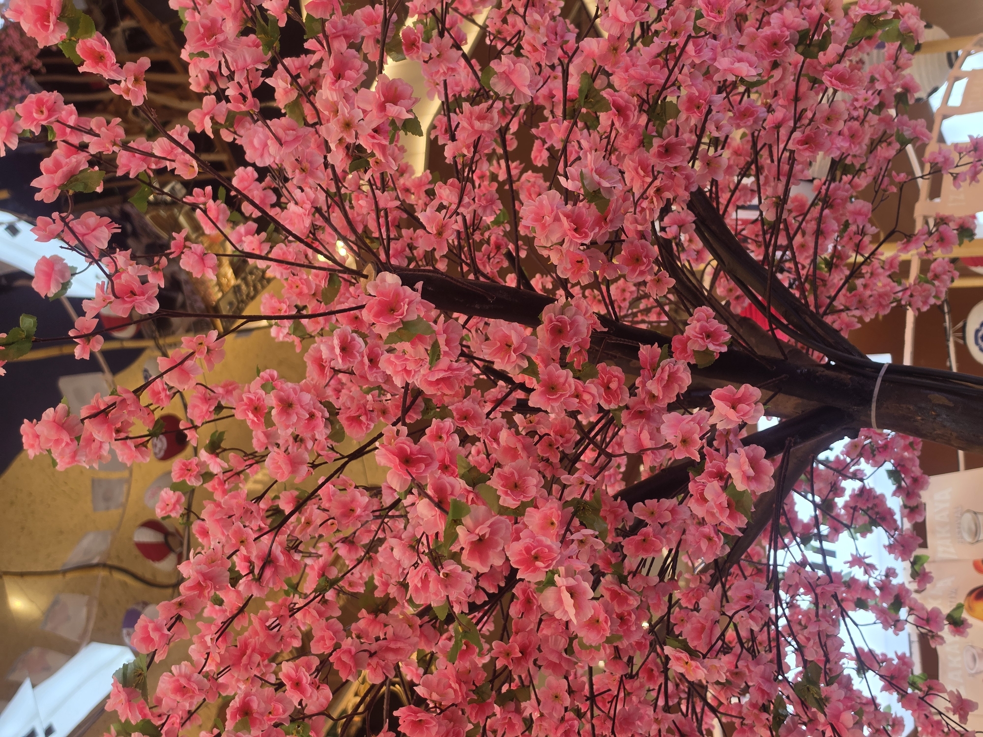 Bangkok witness captures spring blossoms, lanterns, Japanese mall scenes
