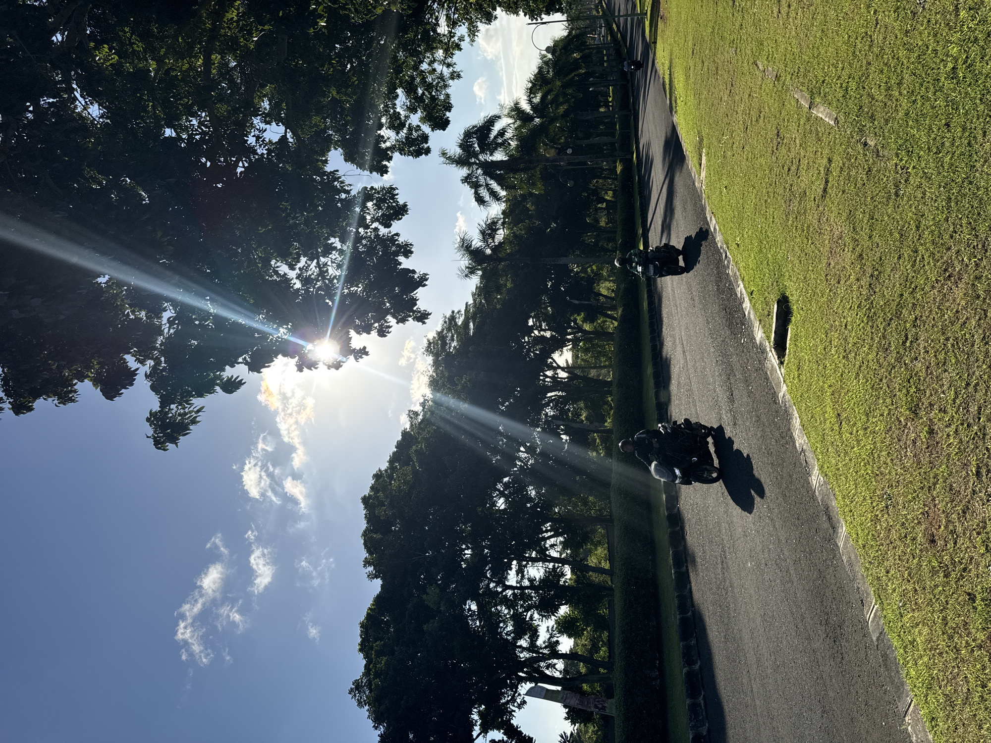 Morning motorcycle traffic captured on tree-lined Kuta Selatan road