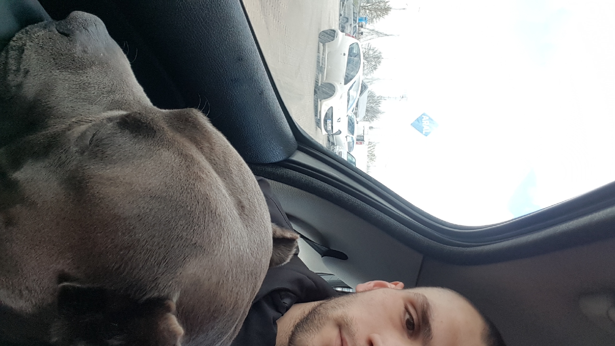 Man sits in car with dog through sunroof in Germany