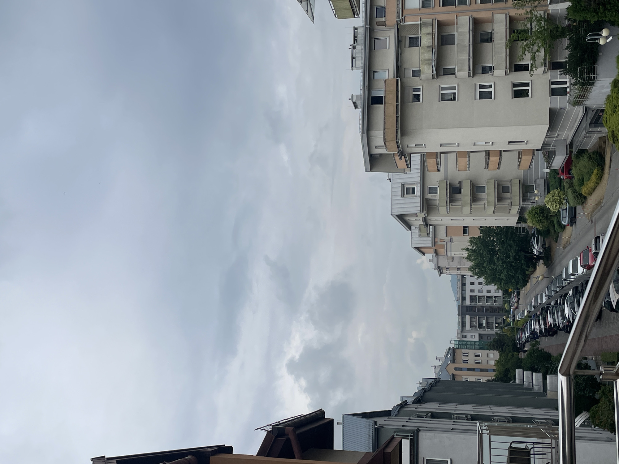 Gray Cat's Morning Activities and Overcast Urban Views Documented