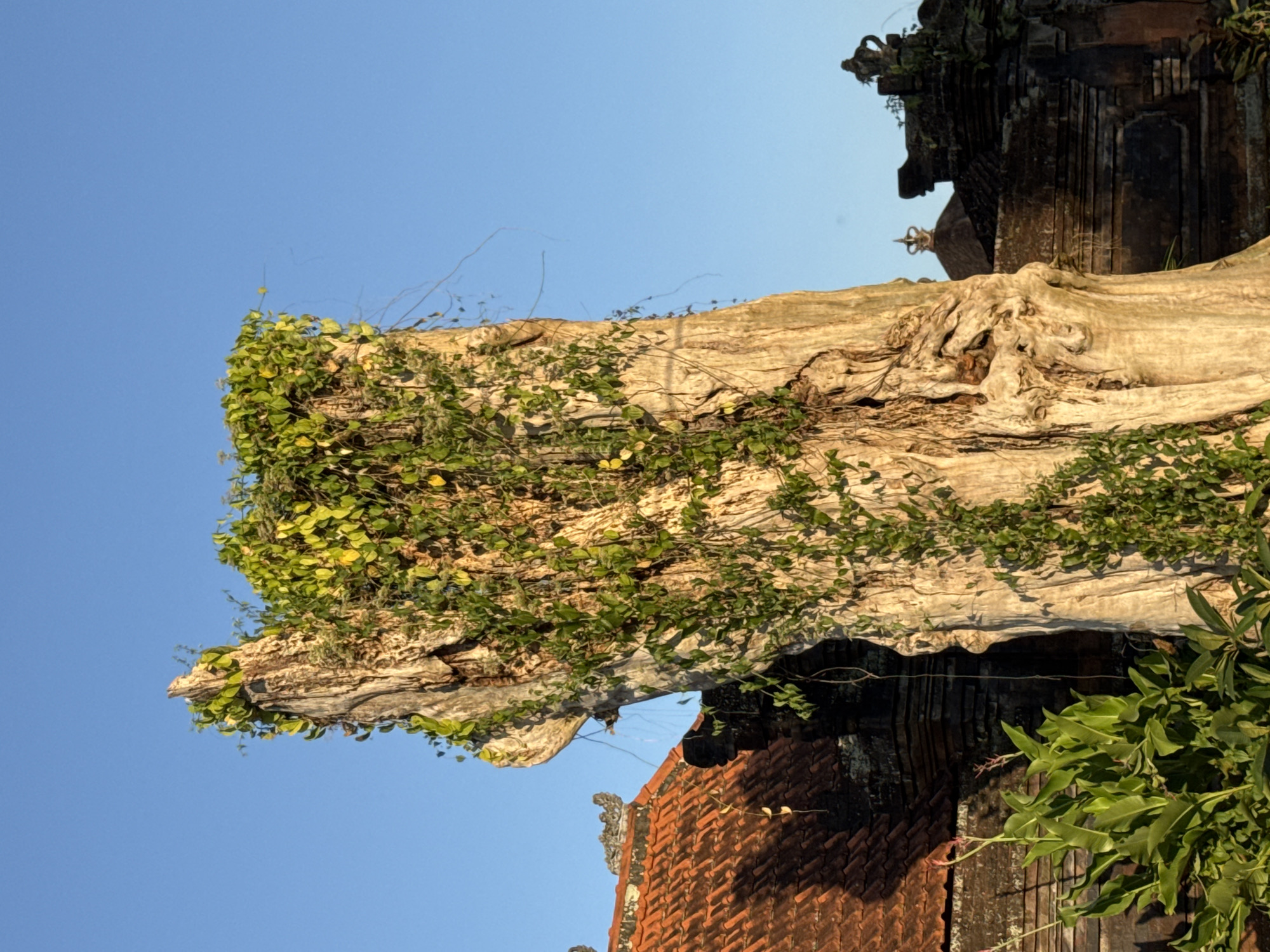 Rice paddies, temples, and golden light around Ubud