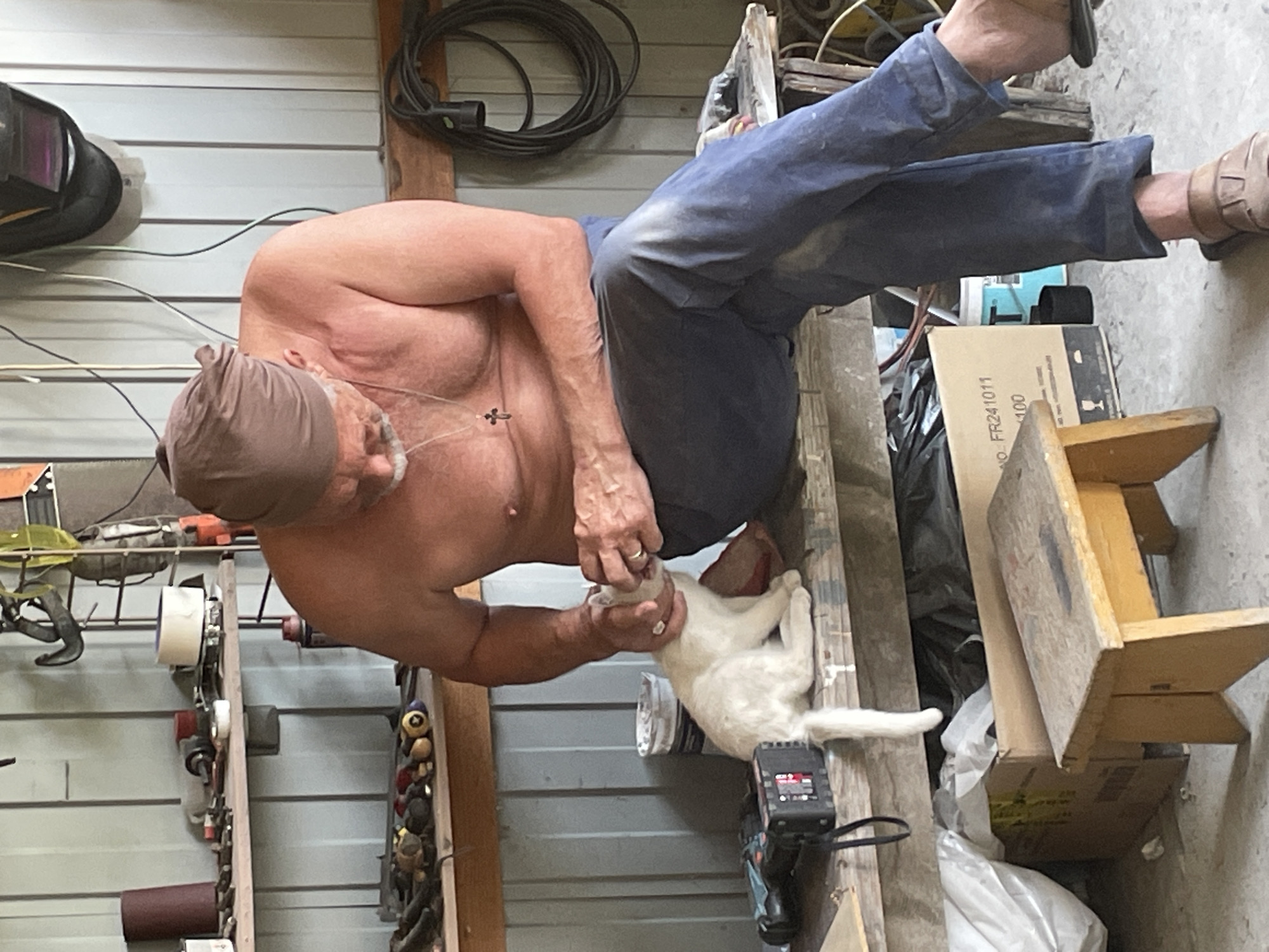 White cat gets some downtime attention in a Russian workshop