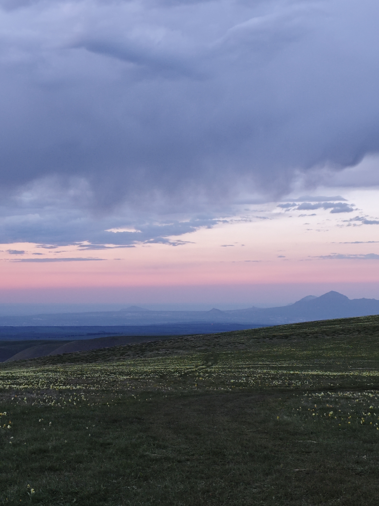 Woman spotted in flower field at sunset near Kichmalka