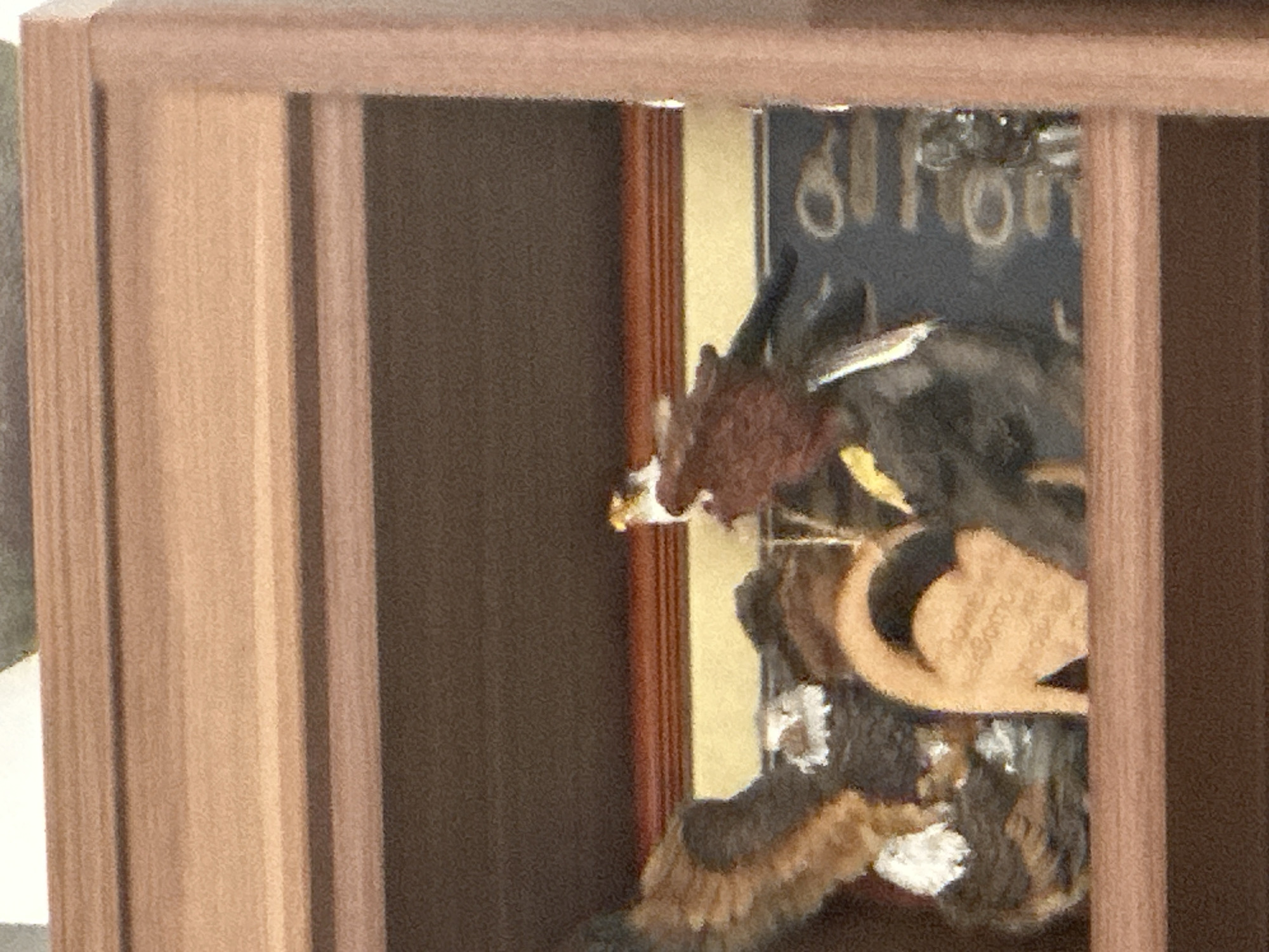 Interior decorations documented in Sofia home including clocks, plants