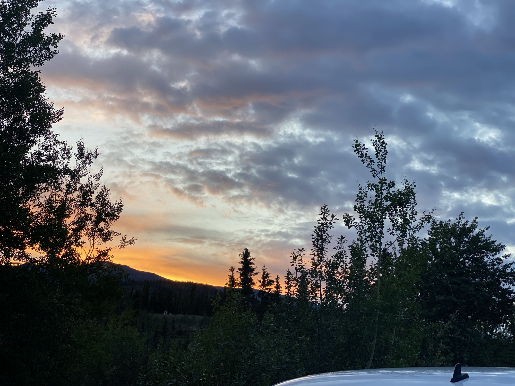 Dusk over Haines Junction, from forest clearing to cabin interior
