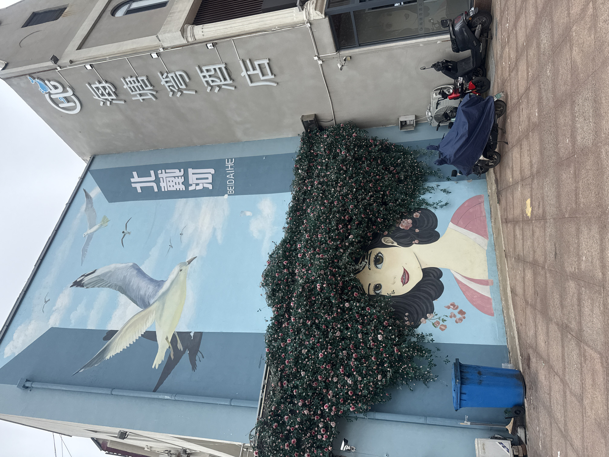Floral mural with seagulls decorates a Qinhuangdao building wall