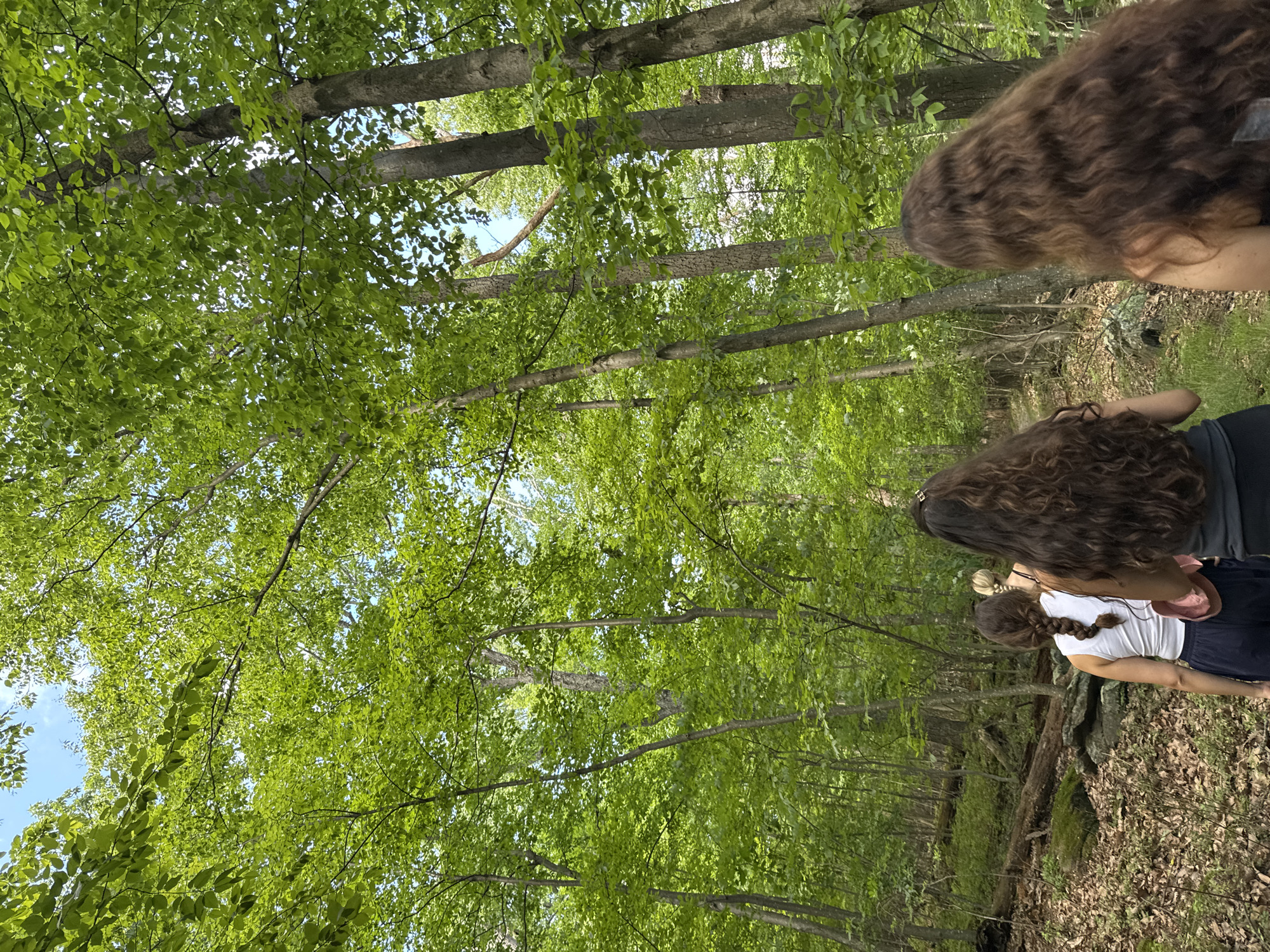 Group of women hike forest trail in Highfield-Cascade