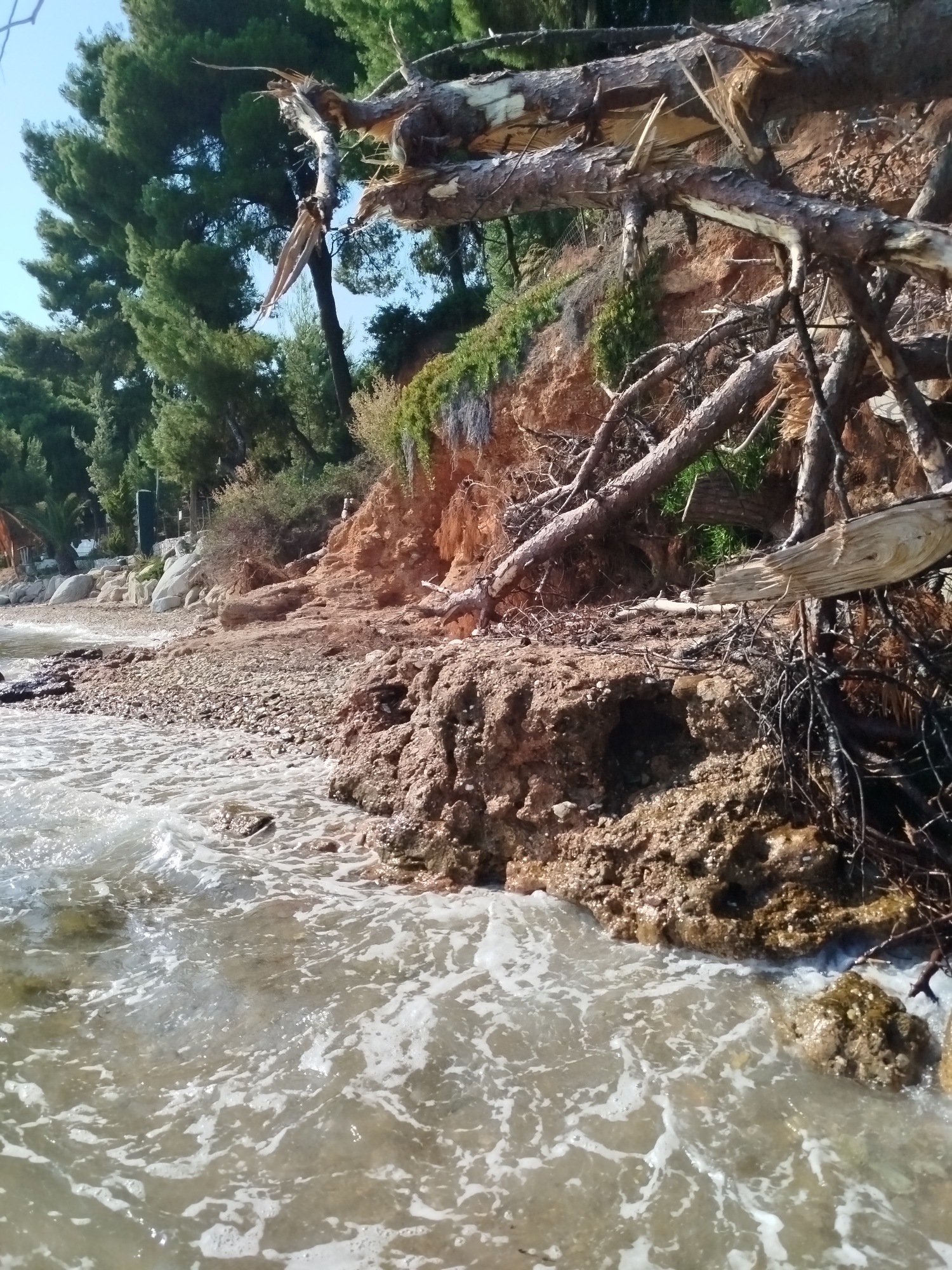 Lazy afternoon on a rocky Sithonian beach with Dolly the dog