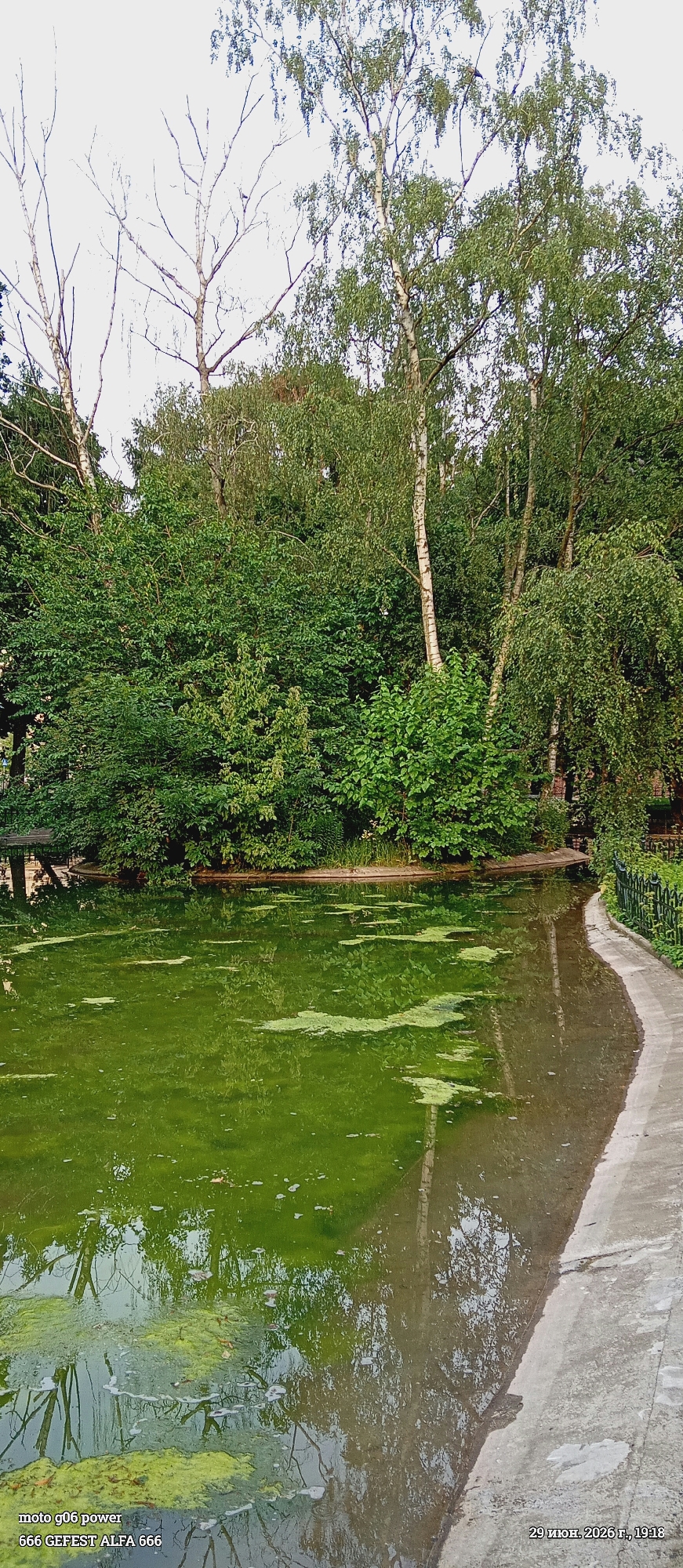 Afternoon at a green Kraków park pond with fountain
