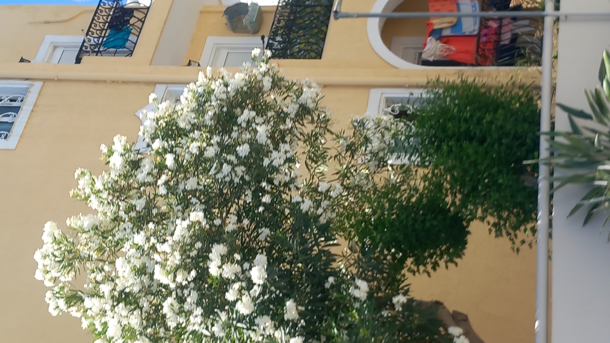 Kos, Greece