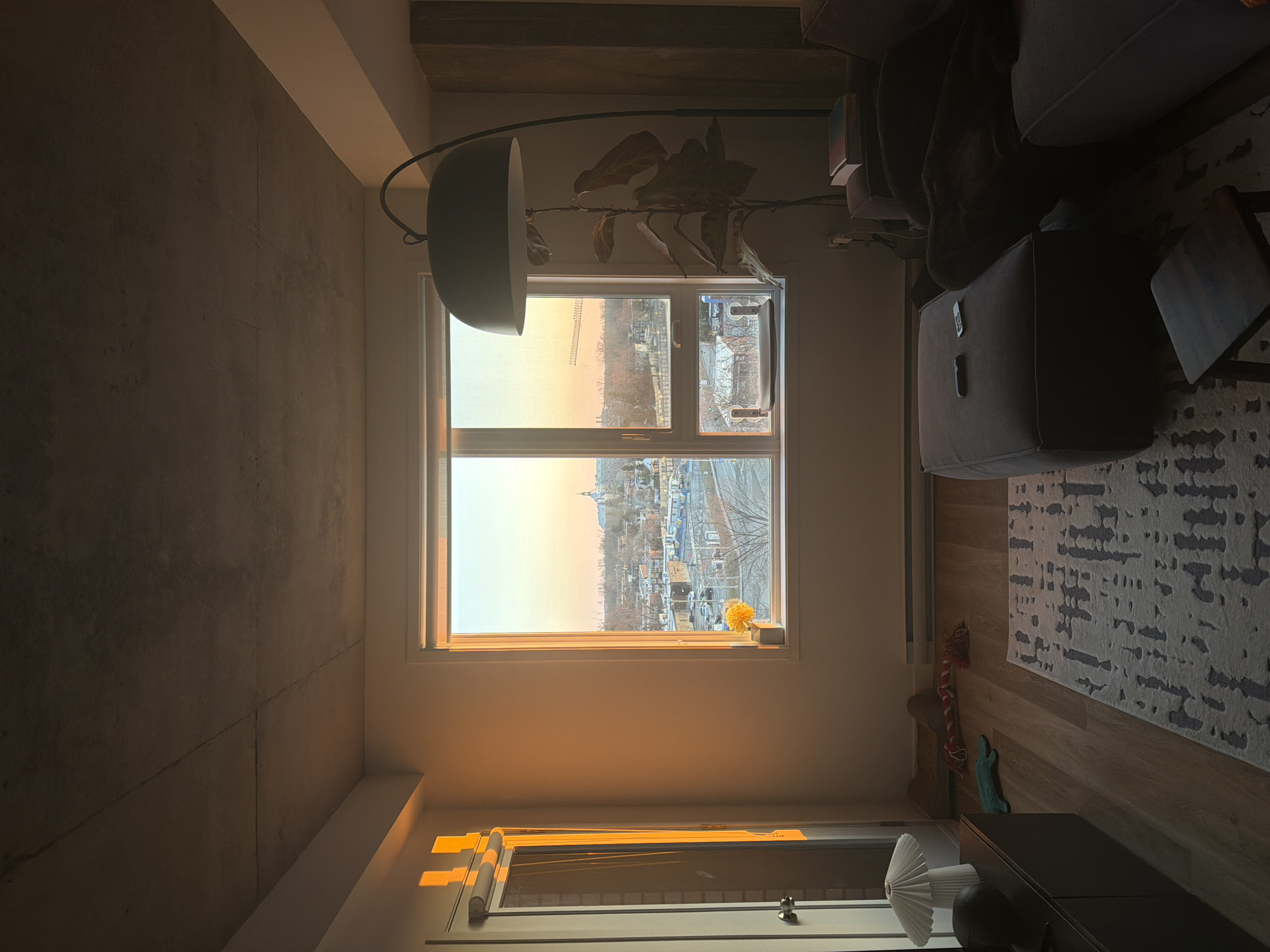 Cat observed at window in Laval evening cityscape