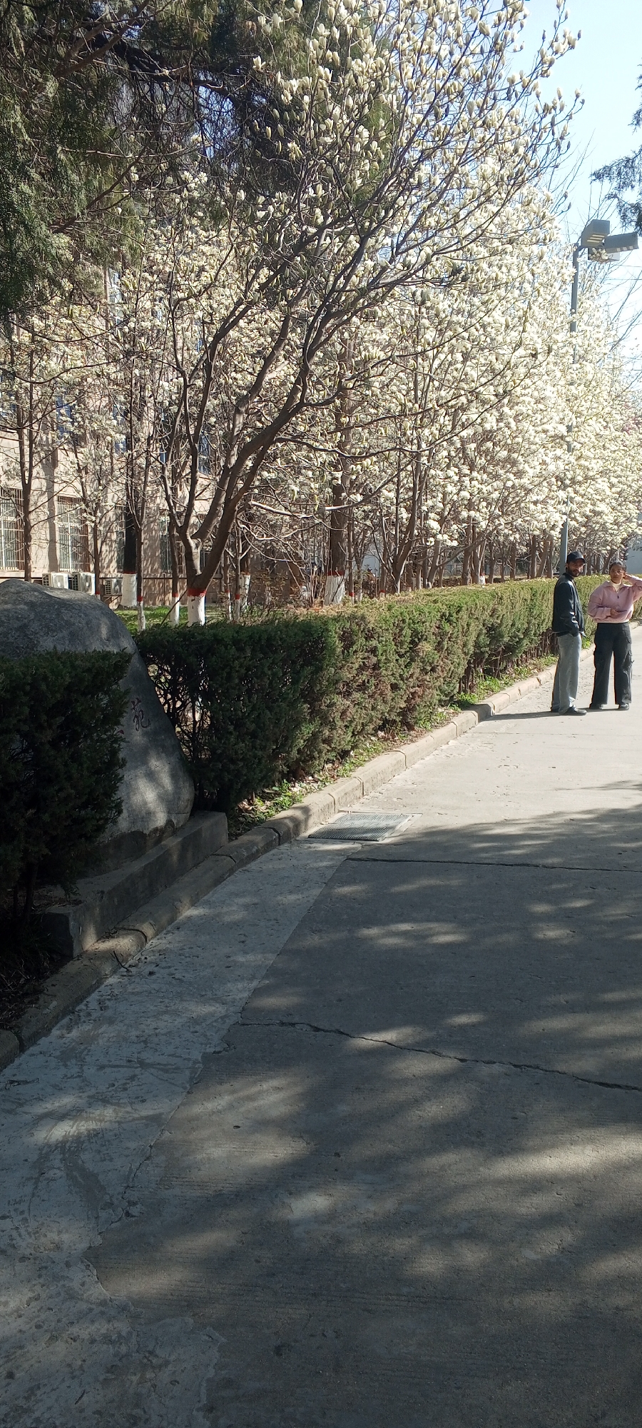 Everyday street scenes documented in Baota District, China