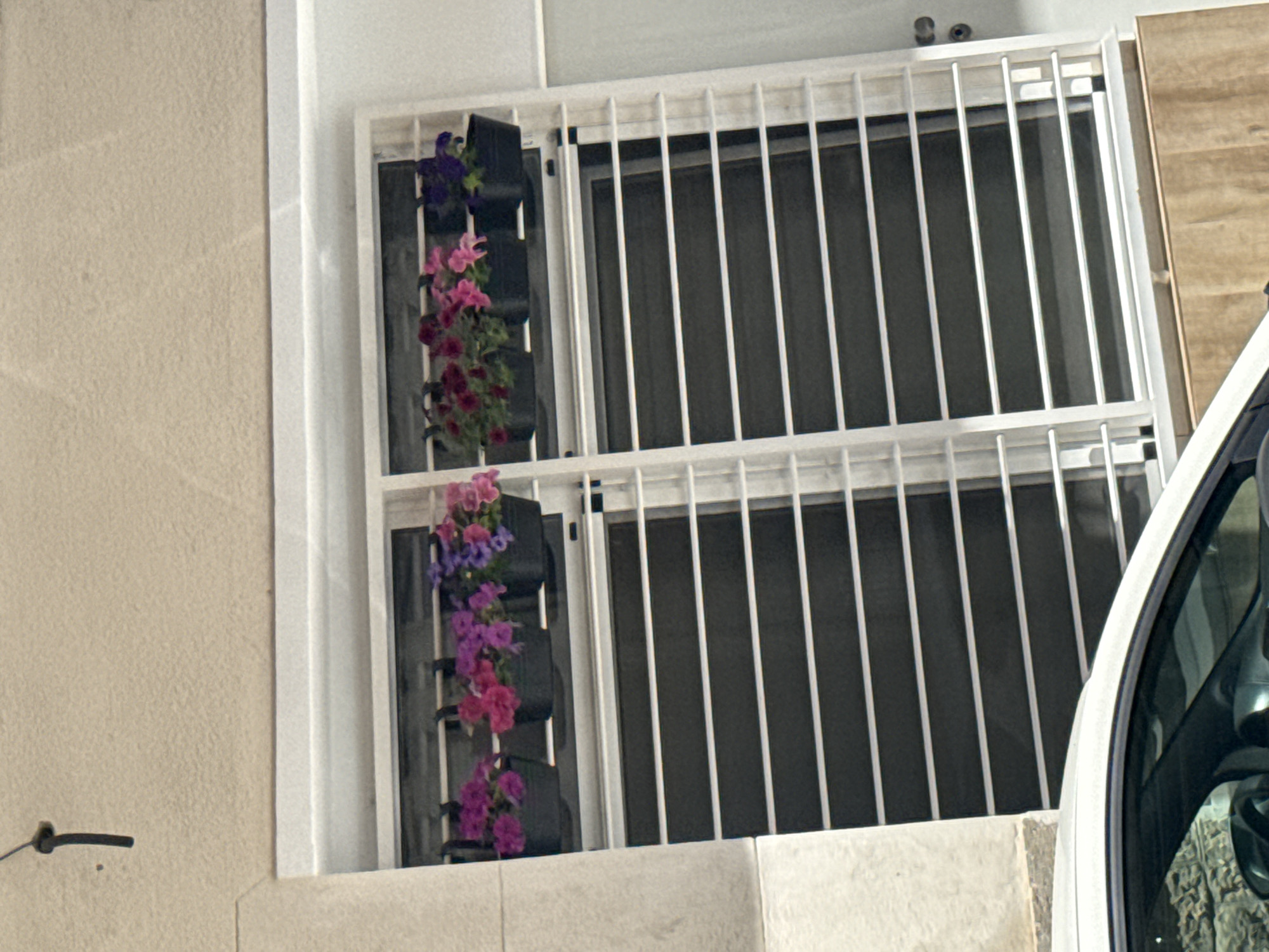 Security grille observed on building exterior