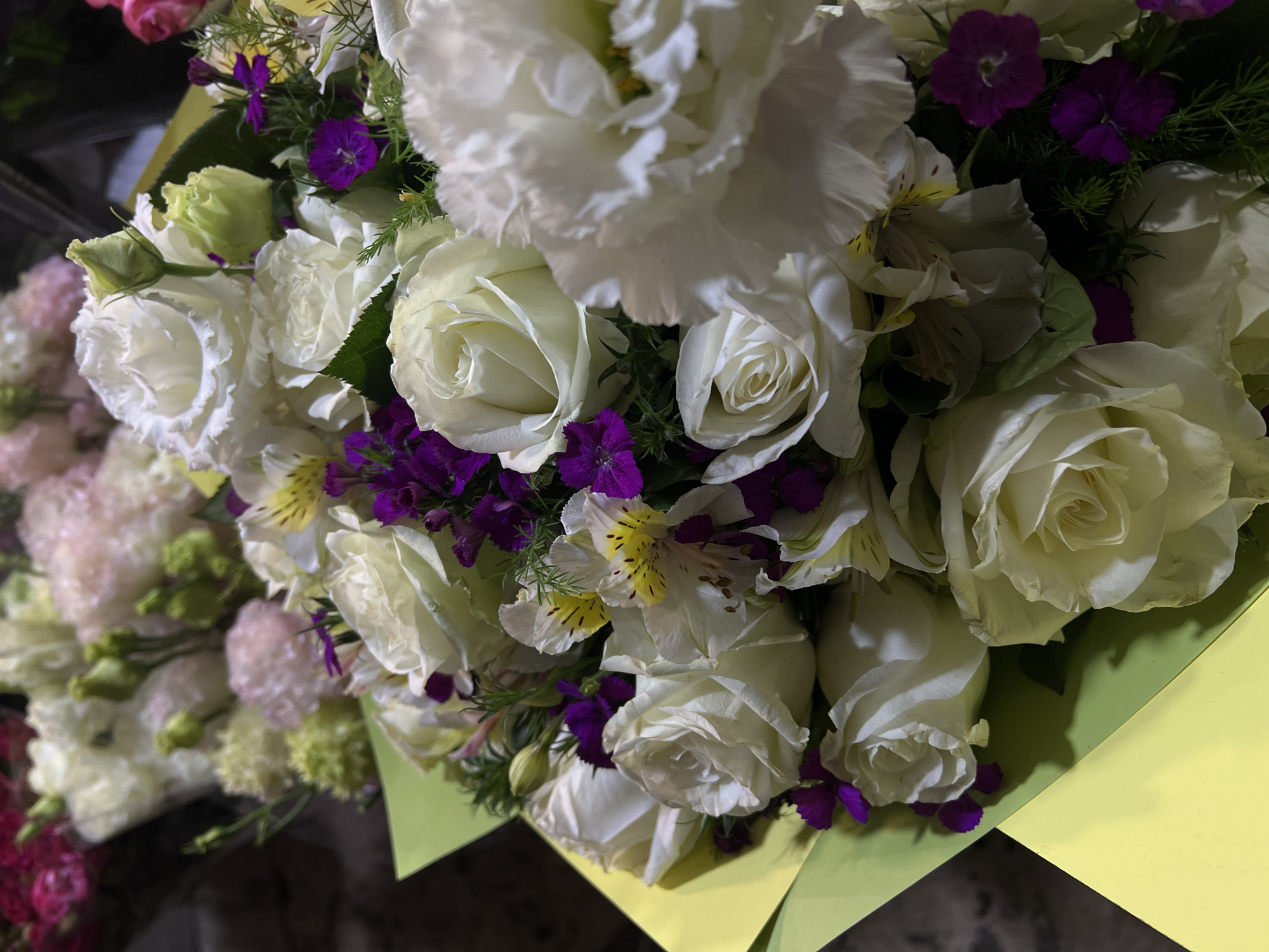 Evening documentation of flowers and illuminated urban signage