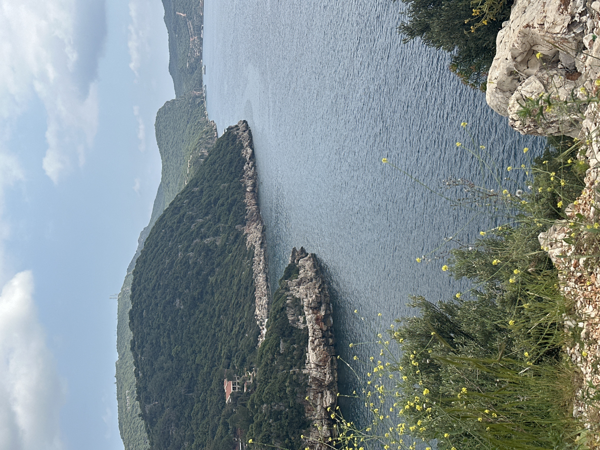 Spring wildflowers bloom along rocky Turkish coastline near Kaş