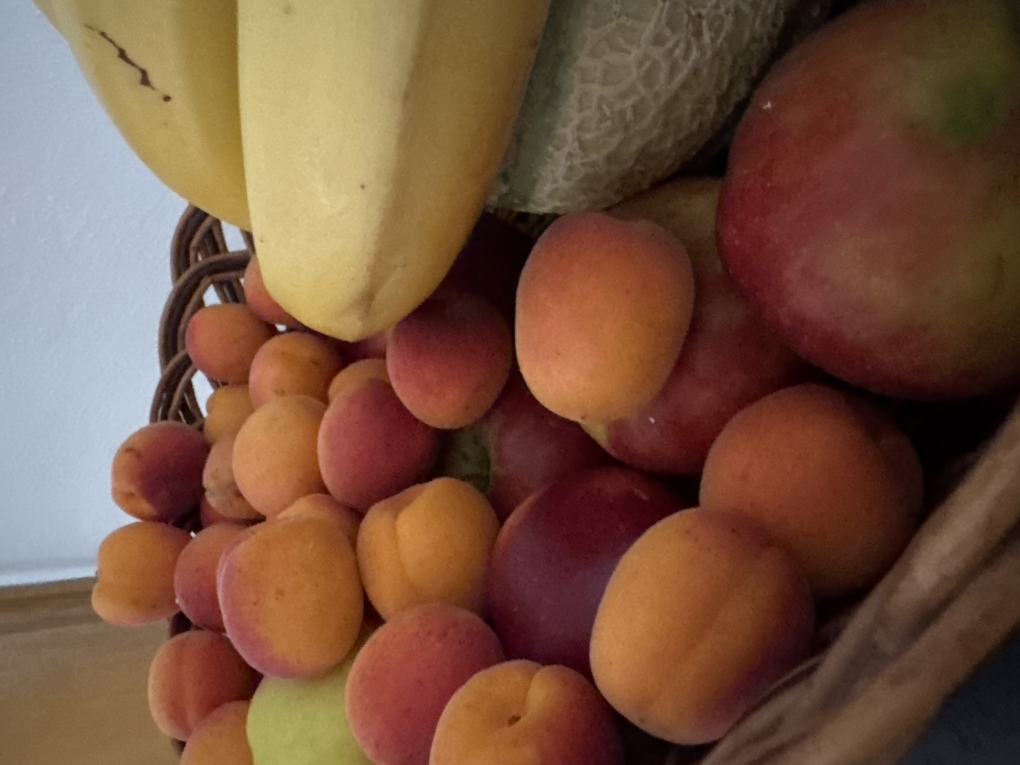 Home, garden, and office snapshots from a Hohenbrunn morning