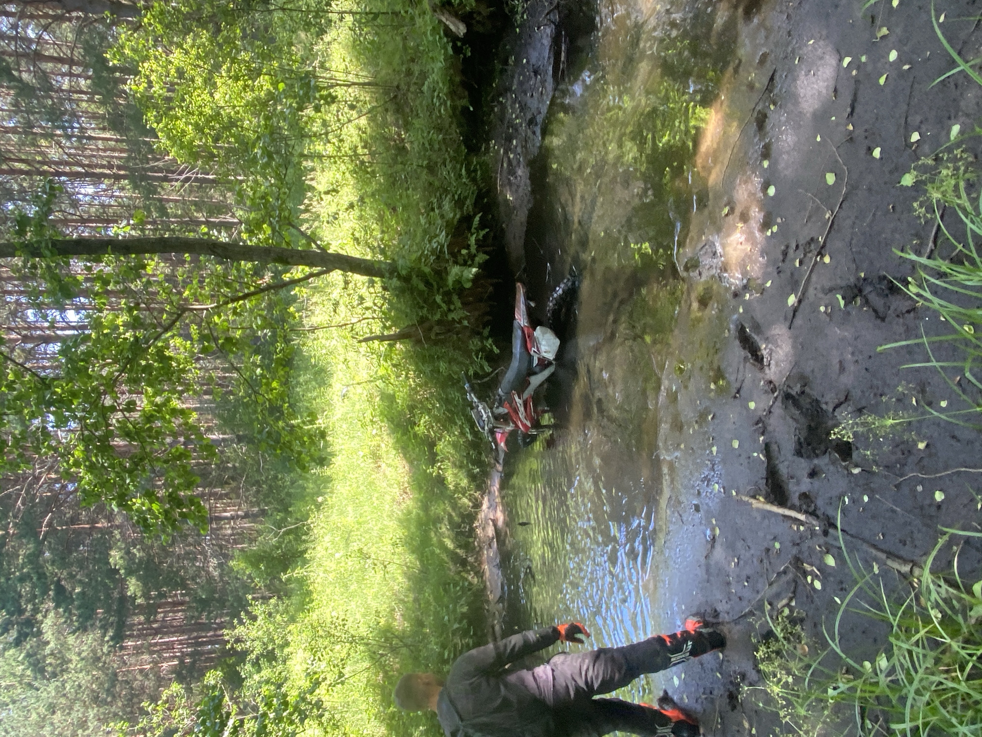 Dirt bike goes down in a forest creek crossing, Belarus