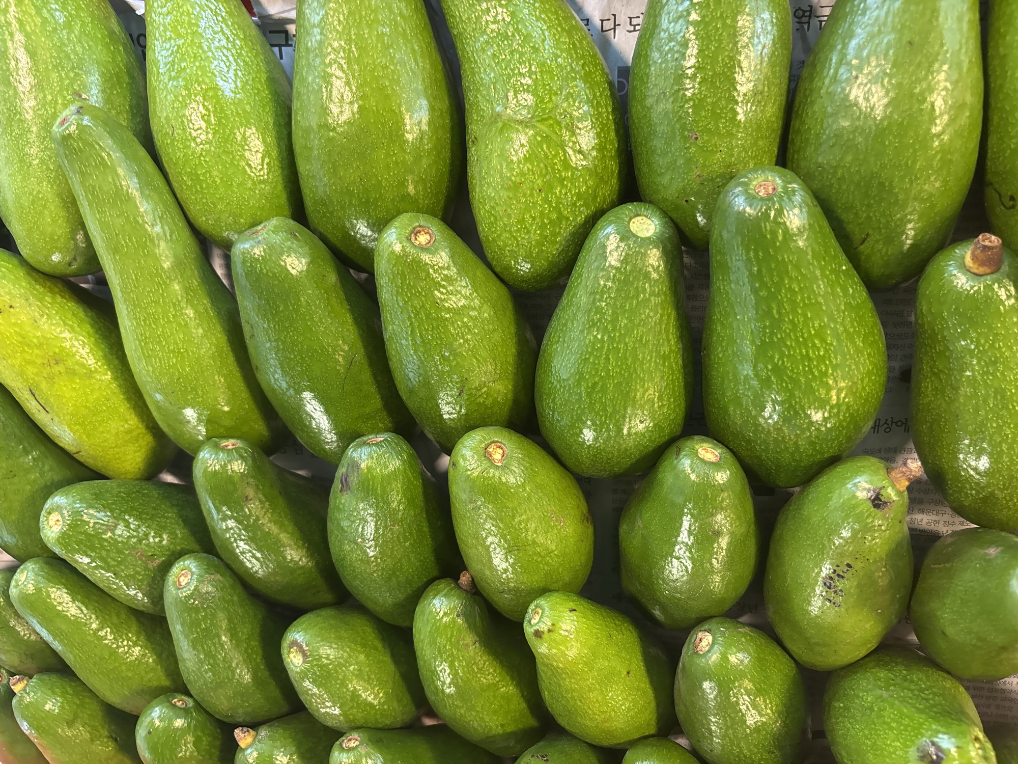 Tropical fruit market documented in Ban Bang Rak, Thailand