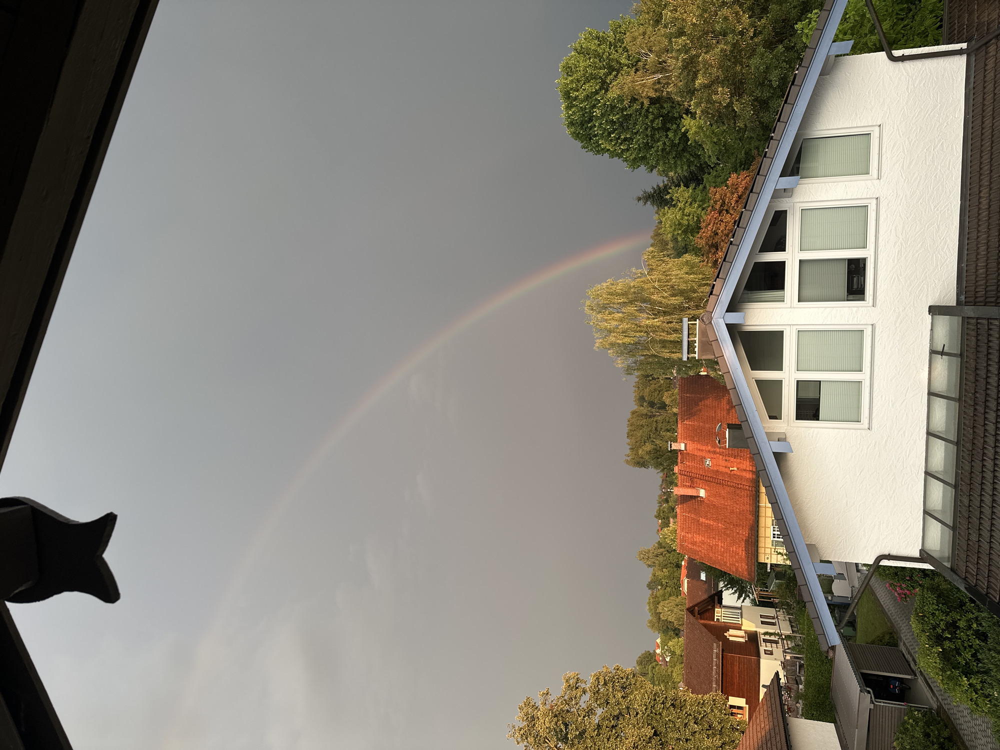Rainbow over Bad Endorf, a cat, and flowers indoors