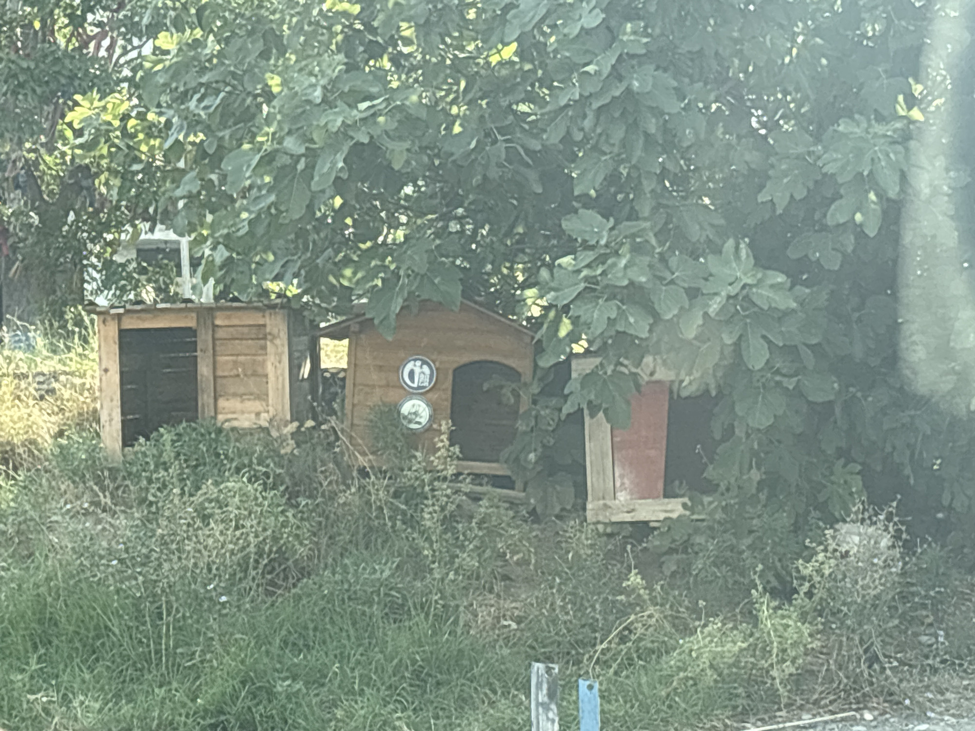 Tbilisi, Georgia