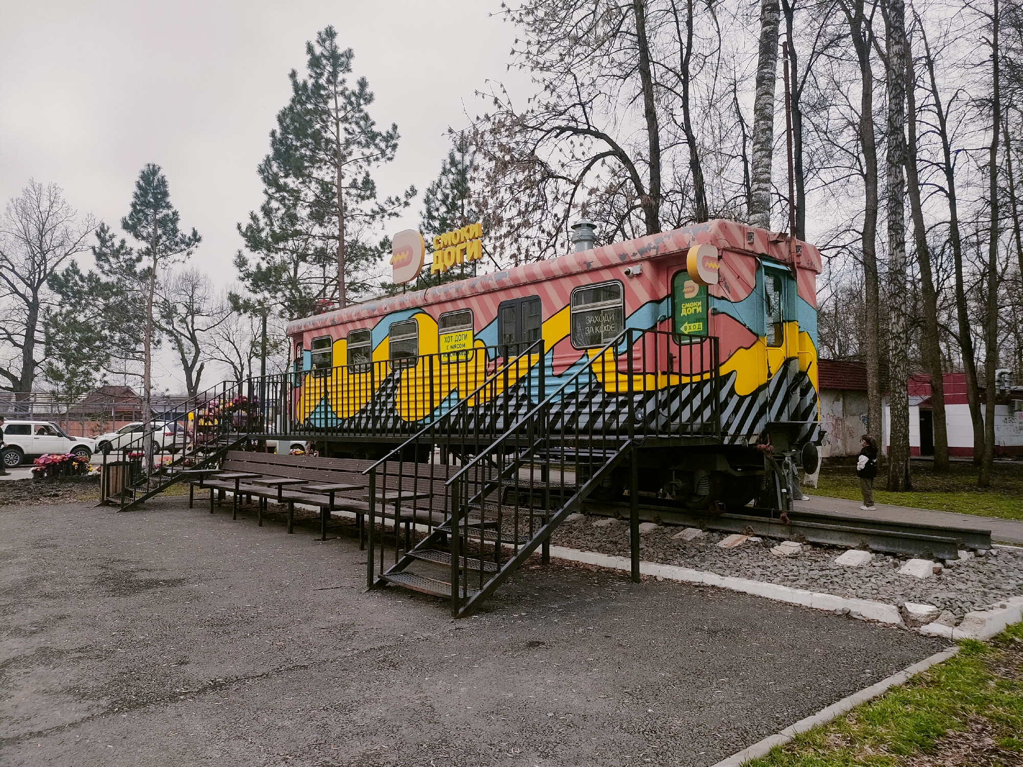 Morning scenes in Ufa: painted train car, resting cats