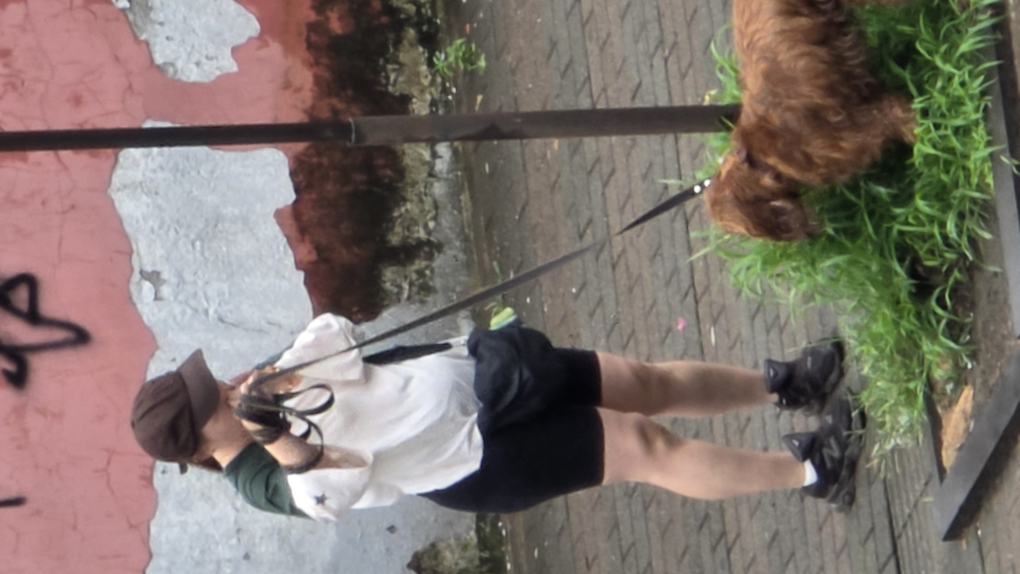Early morning dog walk on Batumi's cobblestone streets
