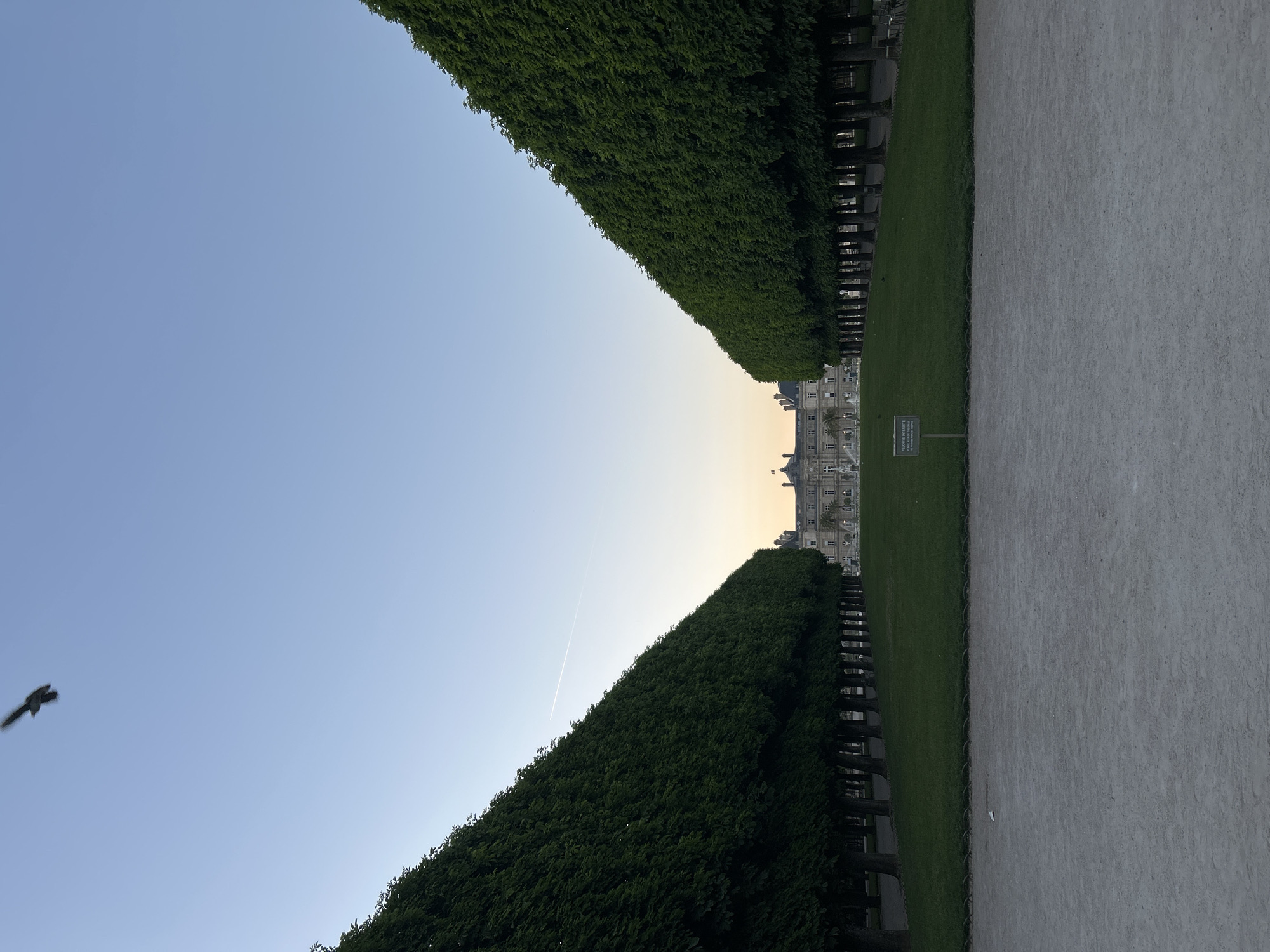 Paris evening scenes documented across streets and gardens