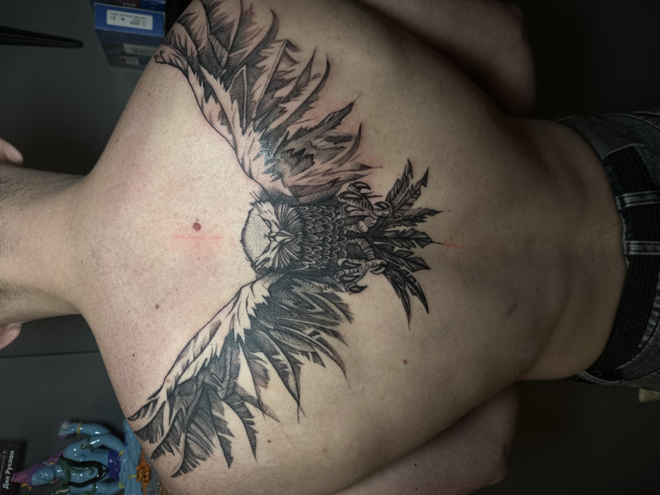 Bird tattoo display captured in Saratov