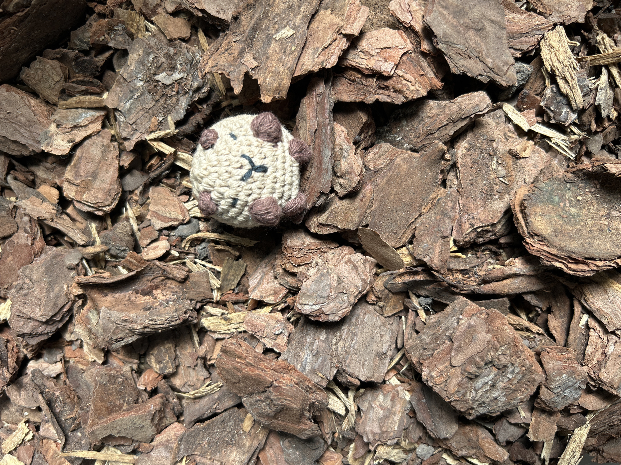 Handmade toy found among bark pieces in Buenos Aires