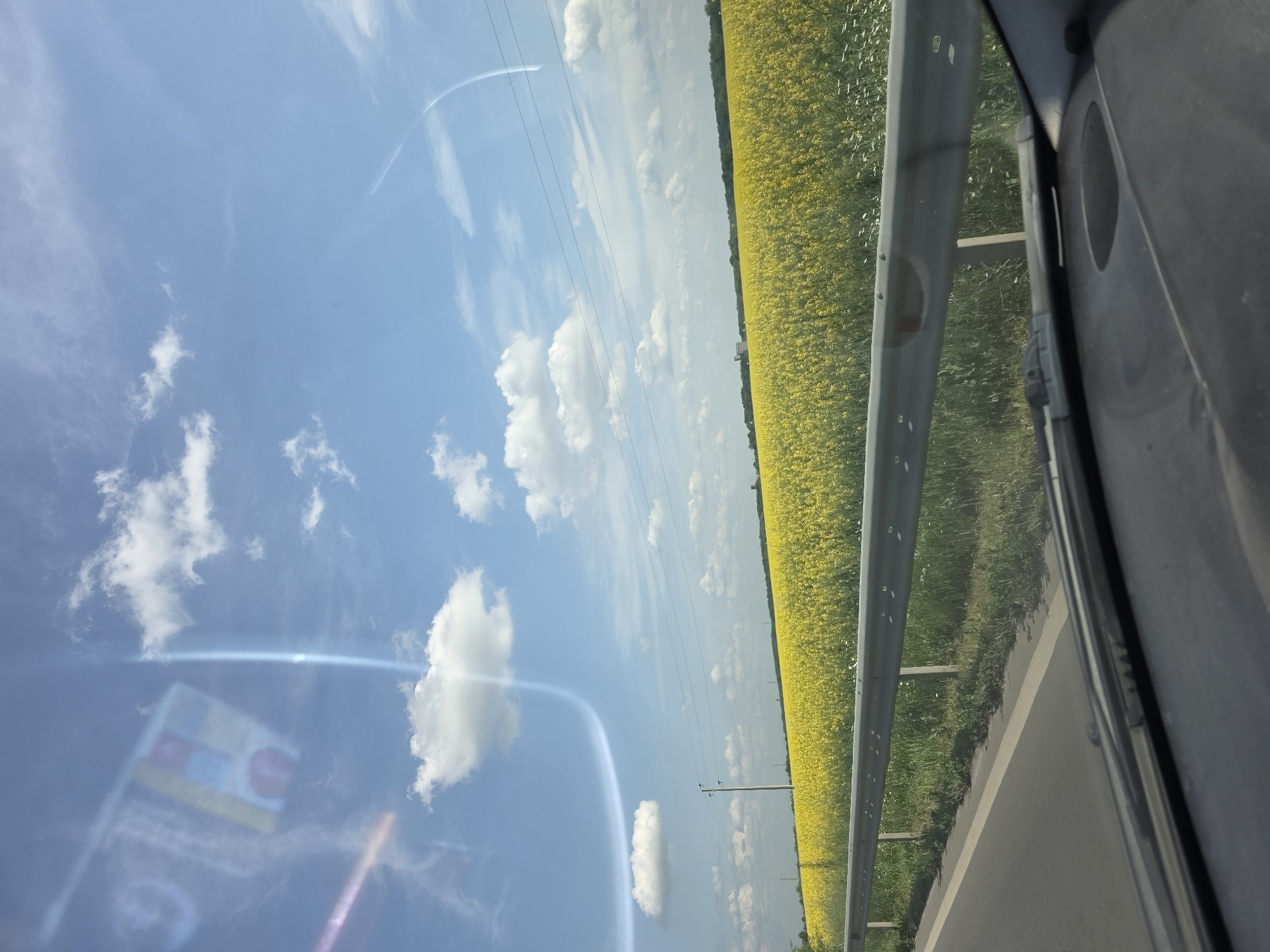 Spring blooms captured along roadside near Mogila, Bulgaria