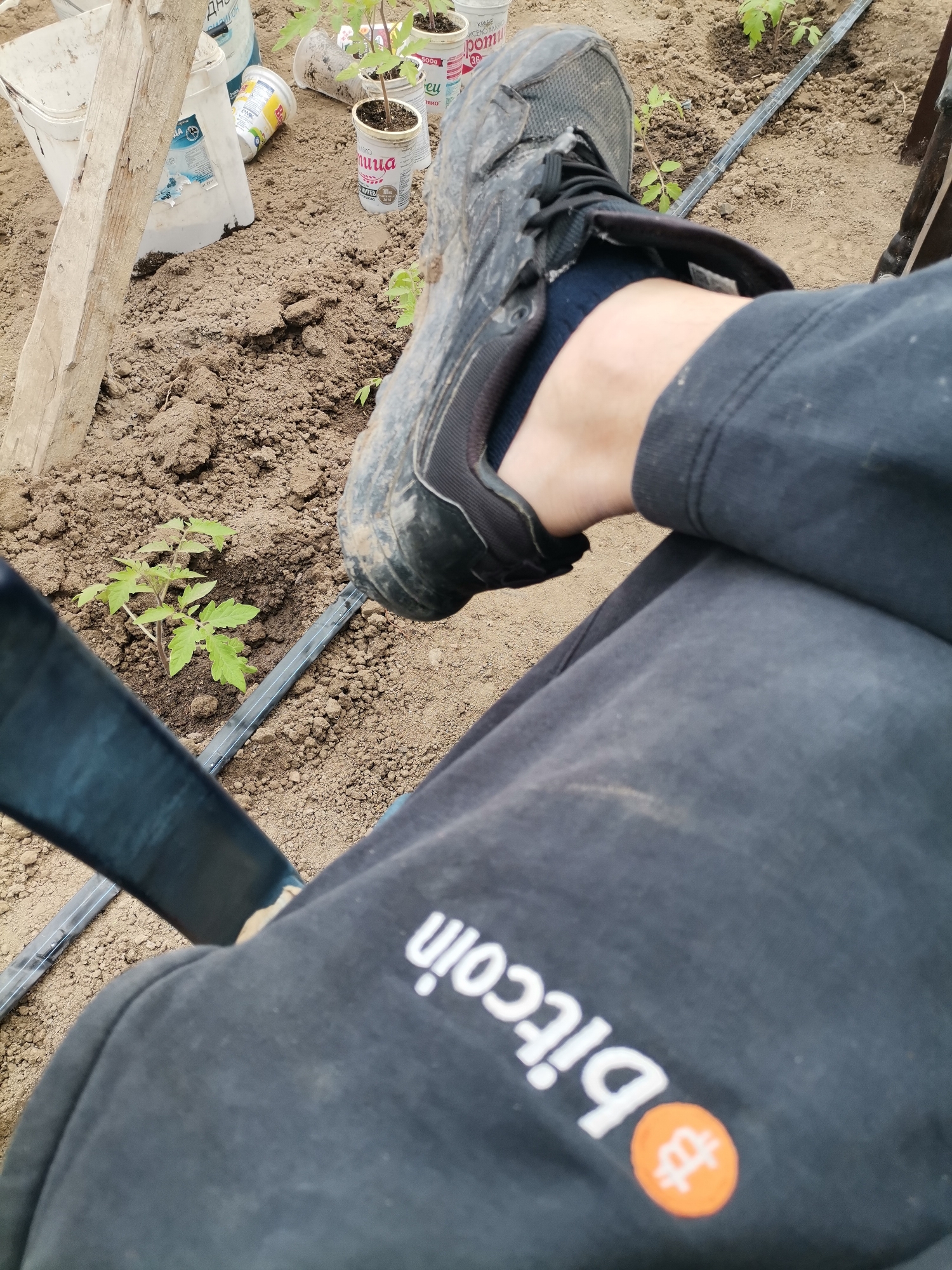 Person spotted wearing Bitcoin-branded clothing in Bulgarian garden
