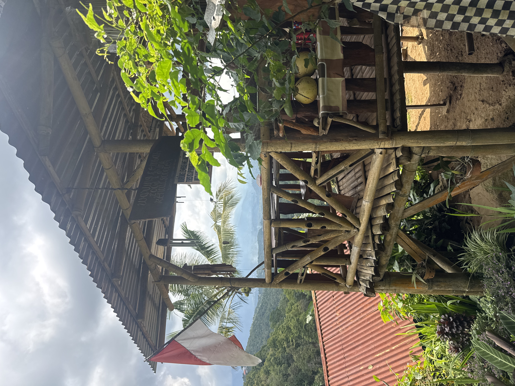 Lizards spotted at bamboo cafe in Banjar, Indonesia