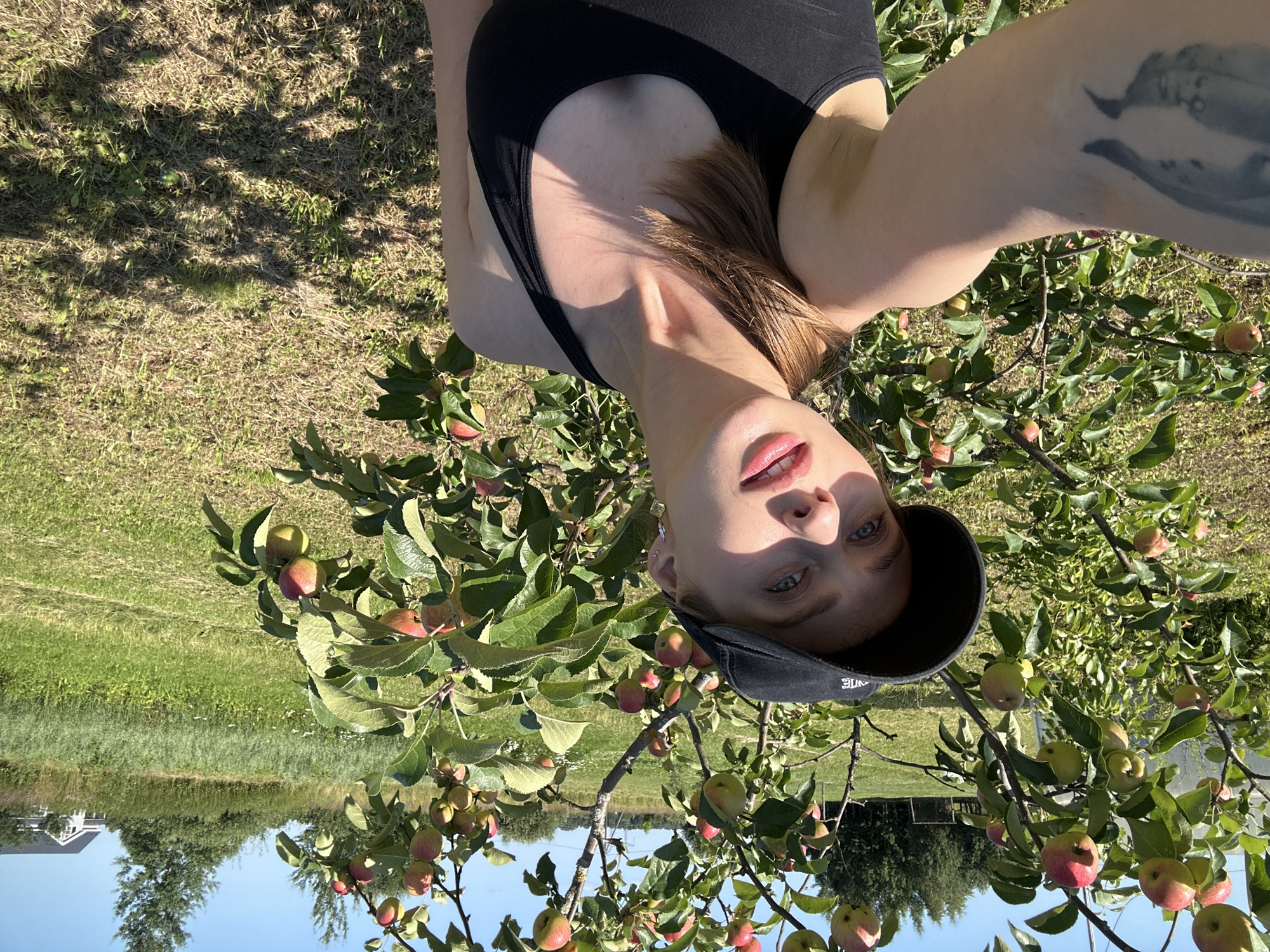 Ripe apples and summer berries in a Russian orchard
