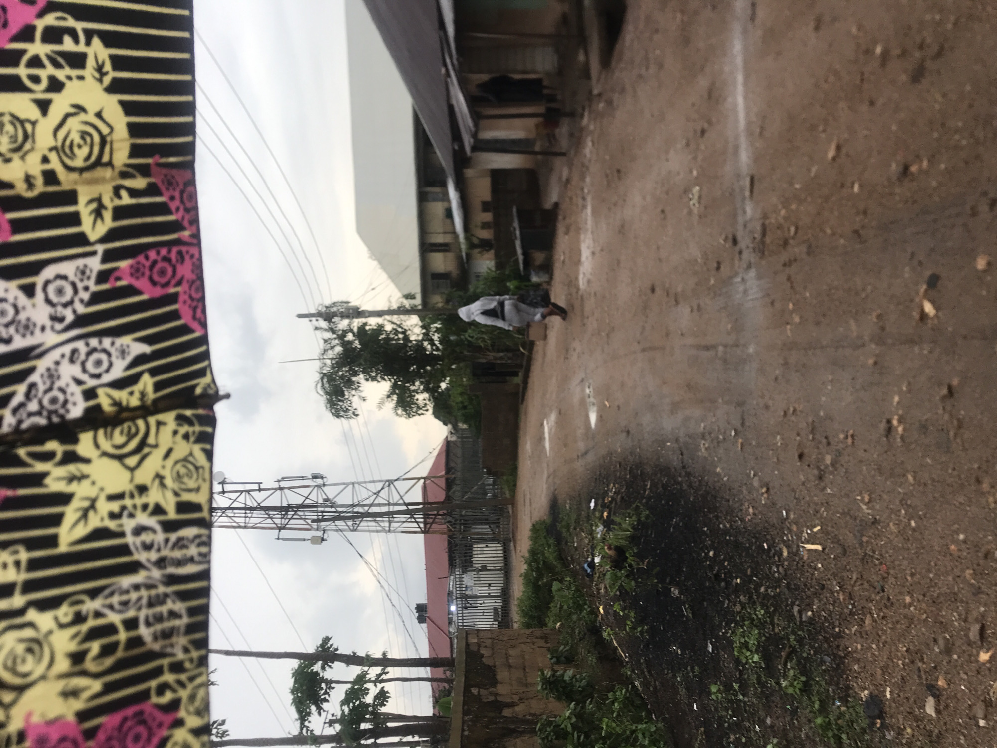 Morning documentation of flora and infrastructure in Rafin Par