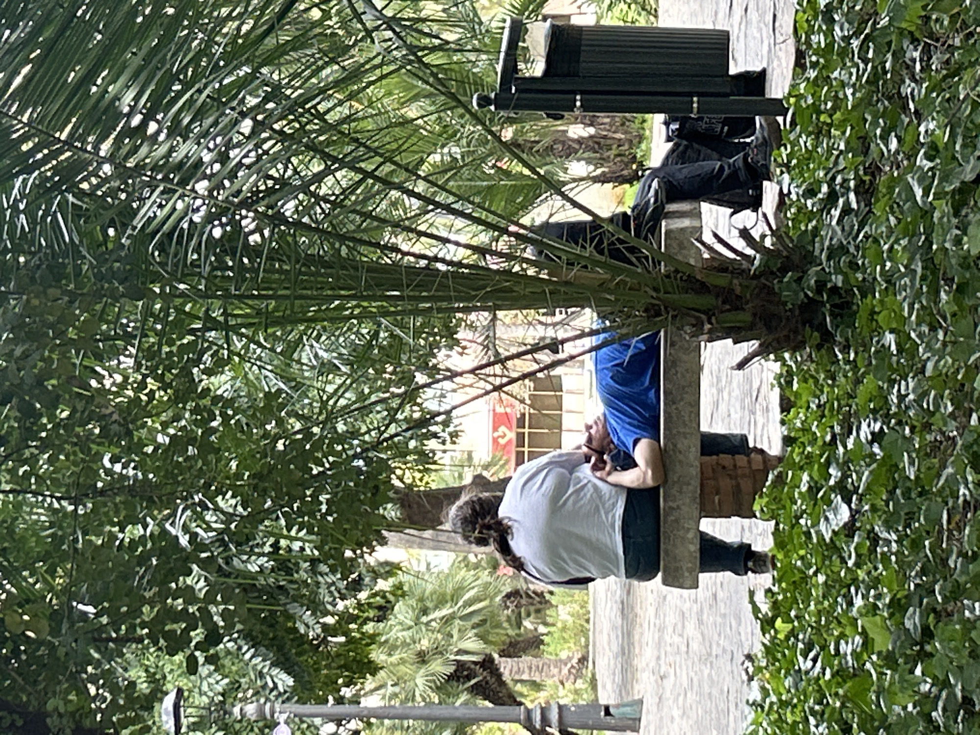 Park visitors read and relax in Málaga
