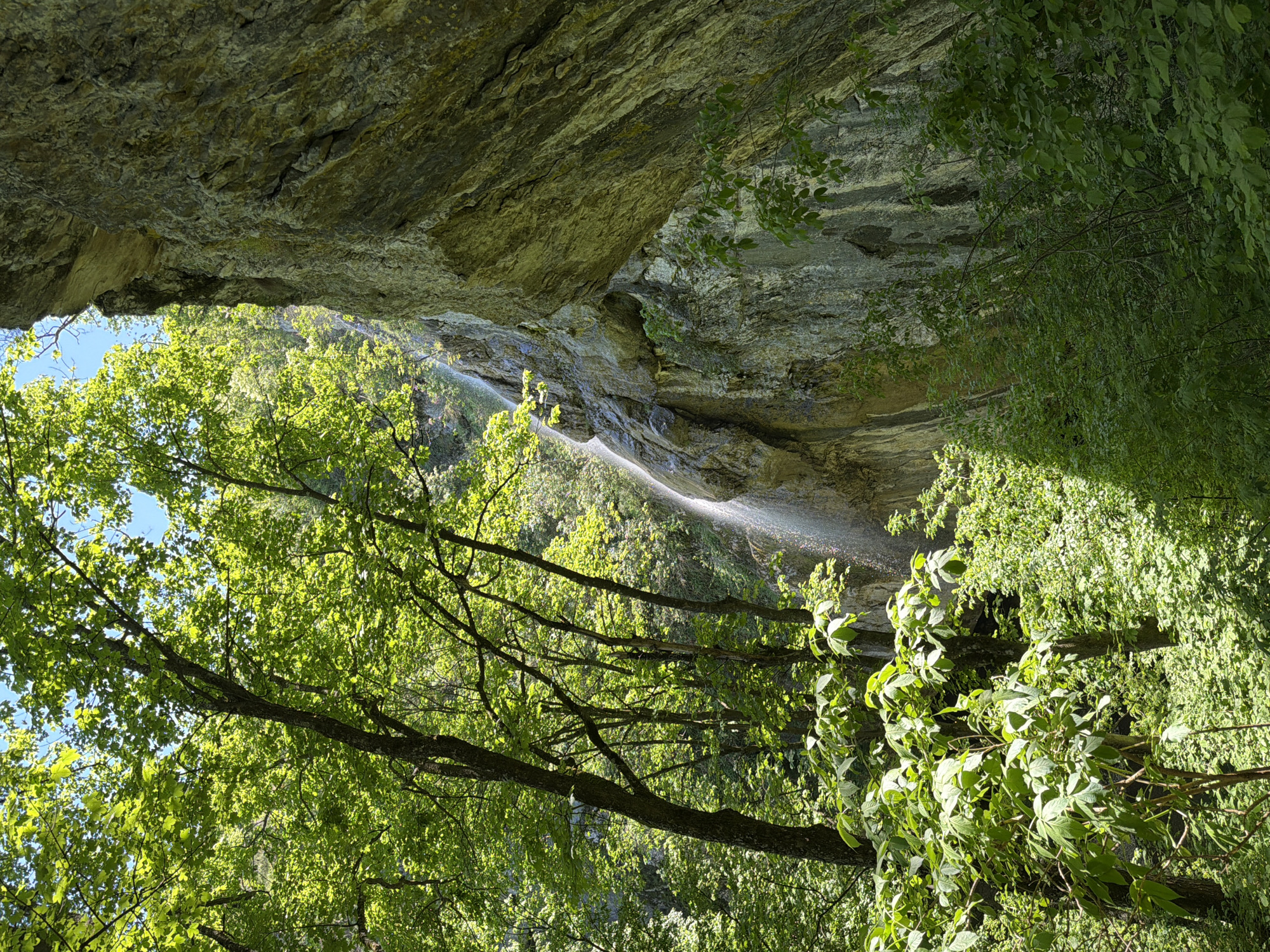 Nature photography captured waterfall and forest path in Veselinovo