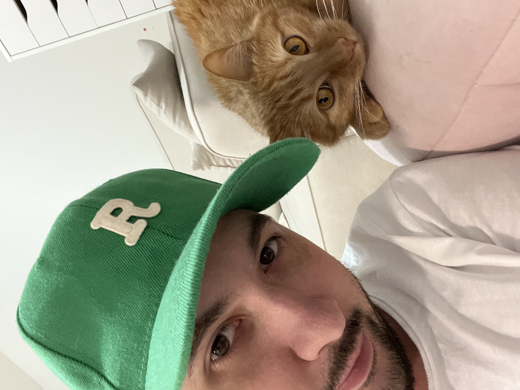 Orange tabby cat photographed multiple times in Perm apartment