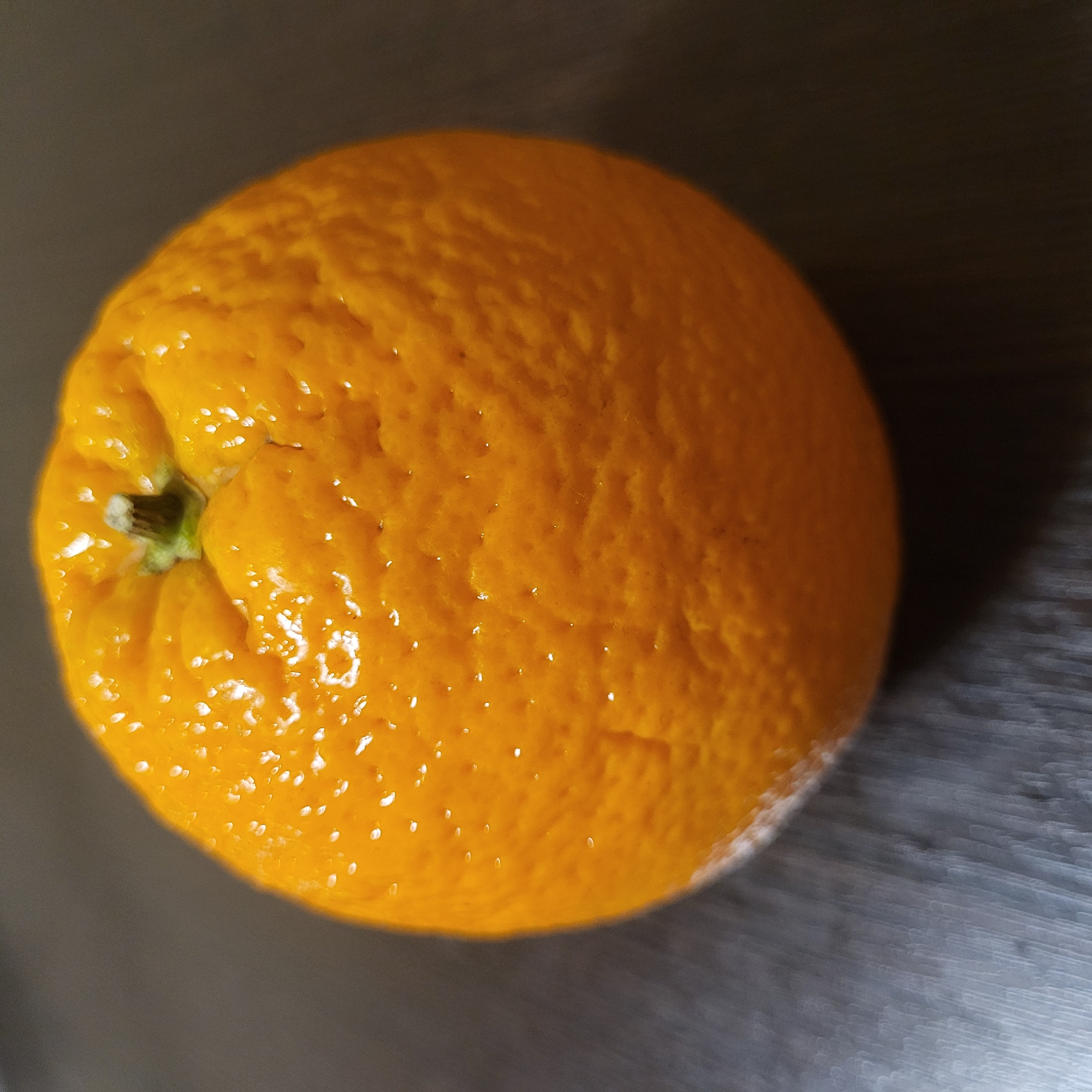 Orange fruit observed on metallic surface in Yerevan