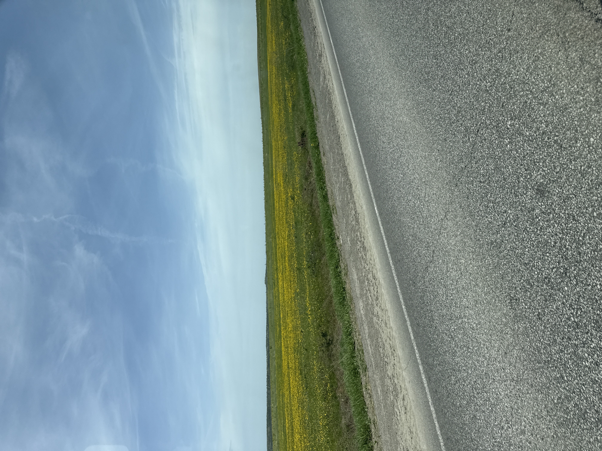 Rural roadside scene documented in Sarapul, Russia