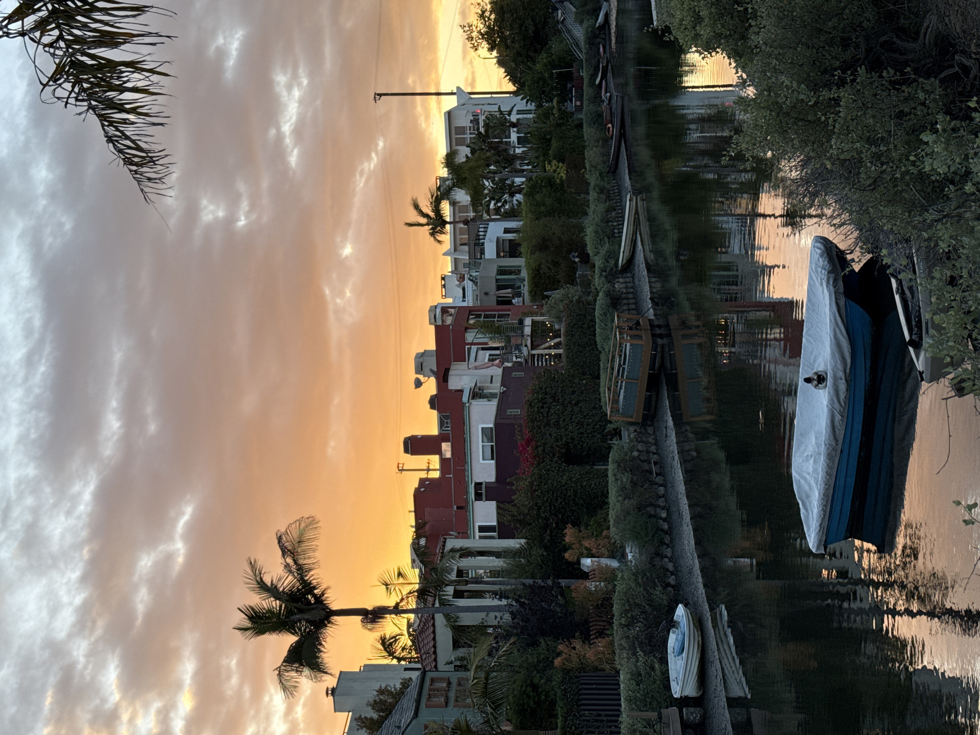 Evening life documented along Venice Canals in Los Angeles